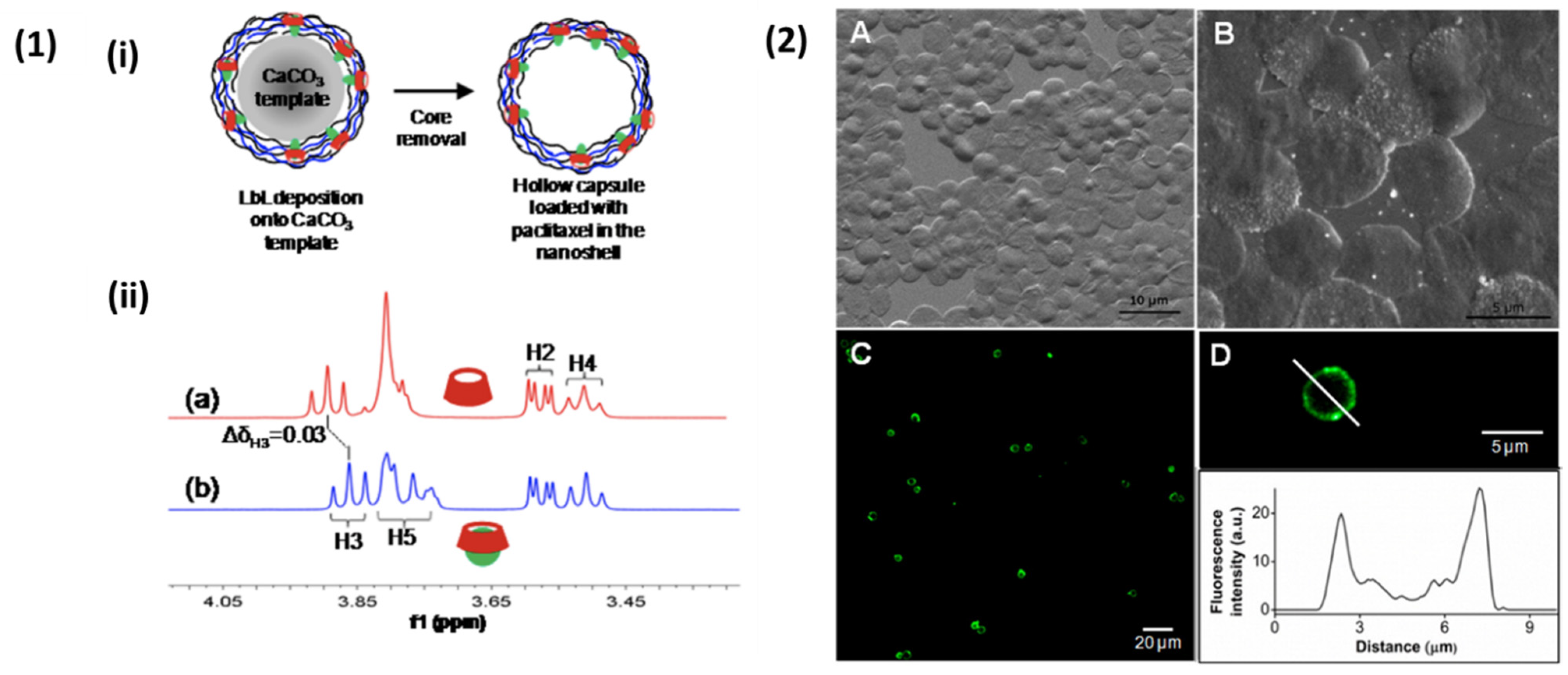 Nanomaterials 11 02502 g015 550