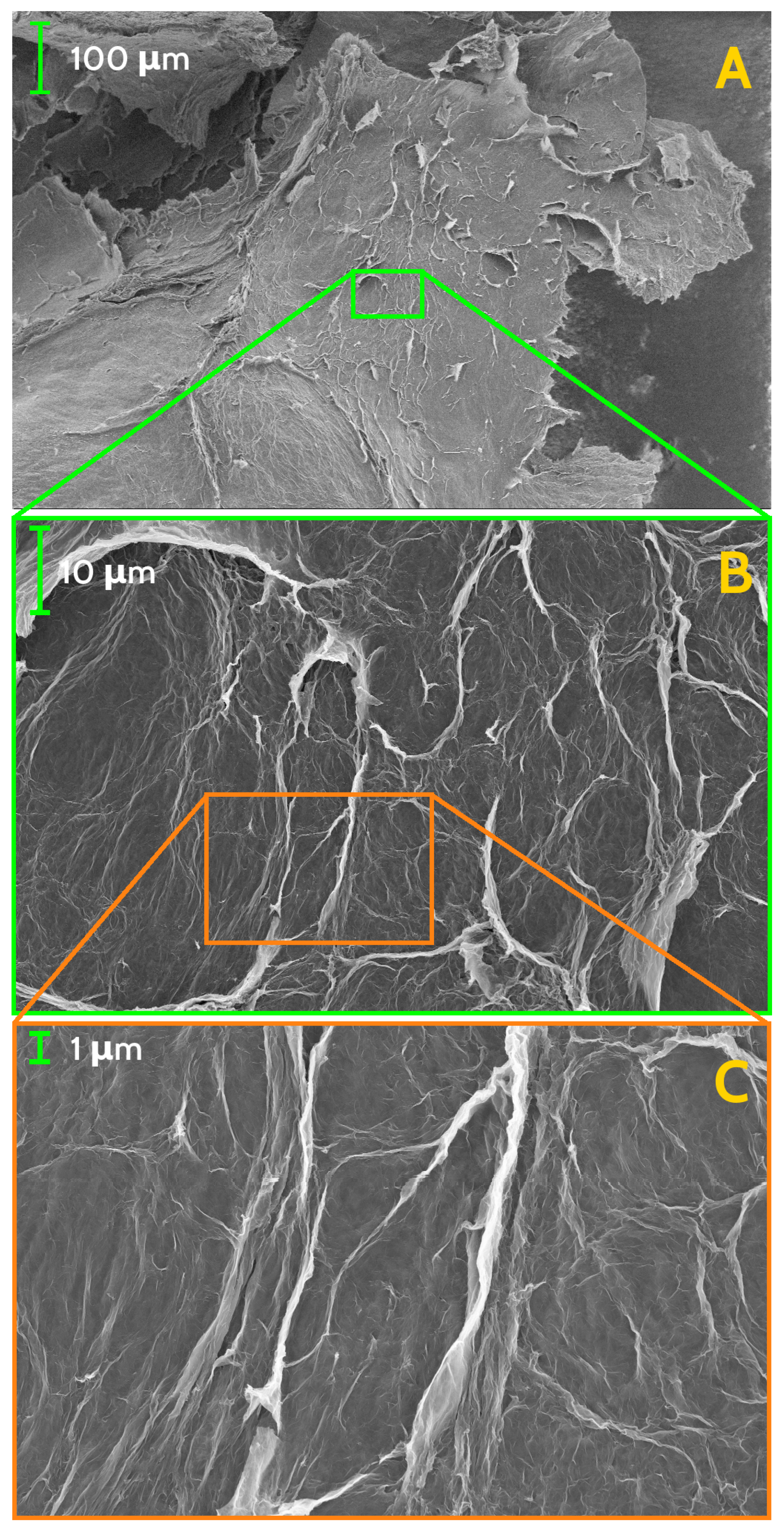 Nanomaterials 11 02503 g002 550