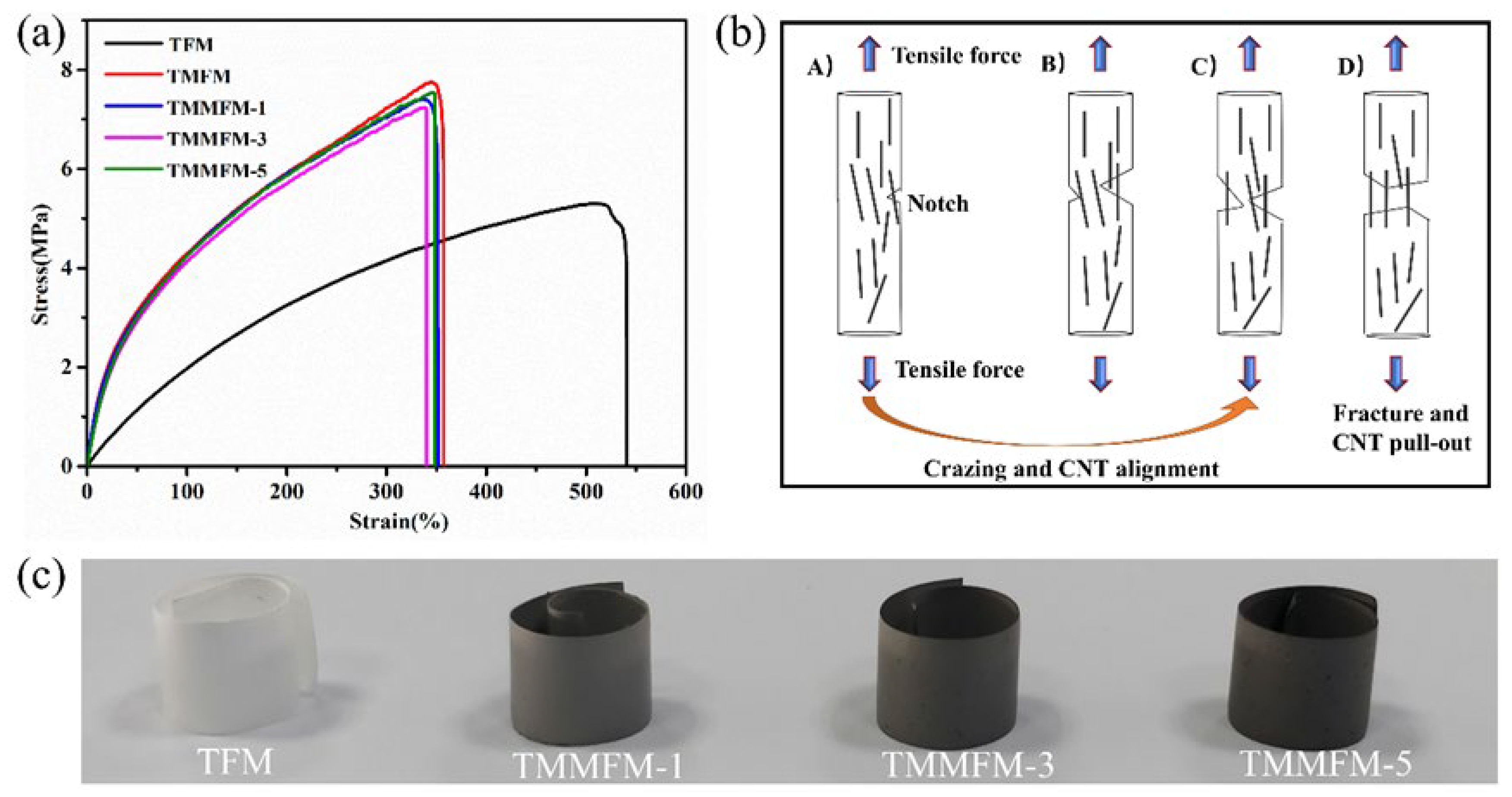 Nanomaterials 11 02504 g004 550