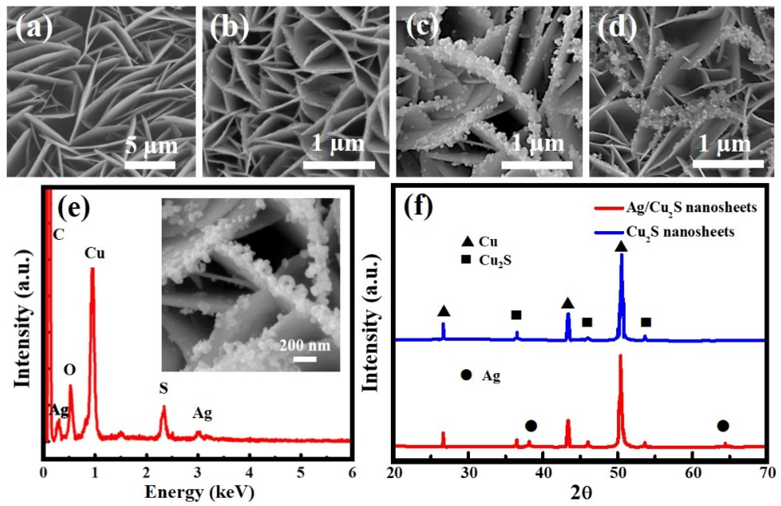 Nanomaterials 11 02508 g001 550
