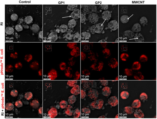 Carbon-Based Nanomaterials Increase Reactivity of Primary