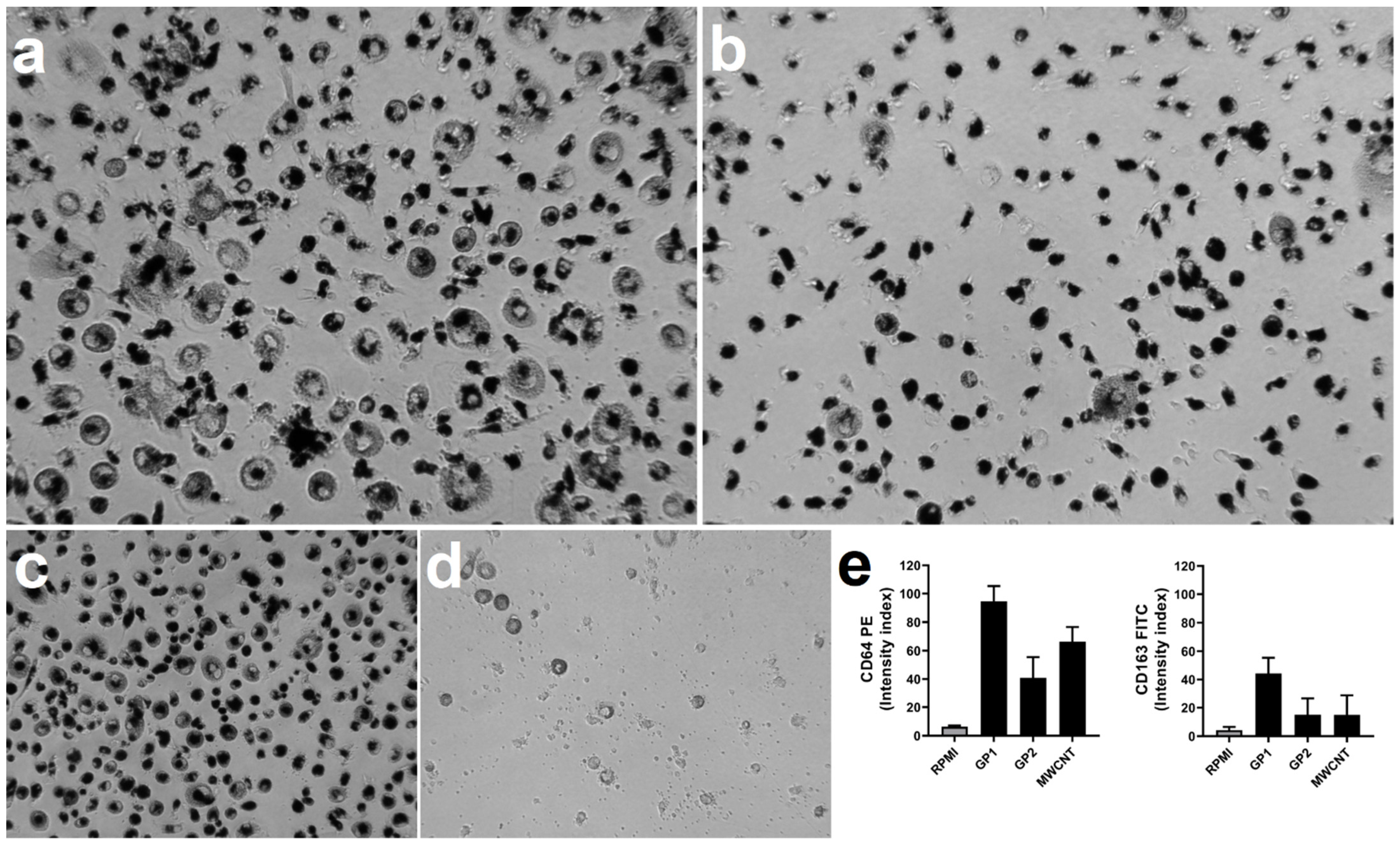 Nanomaterials 11 02510 g007