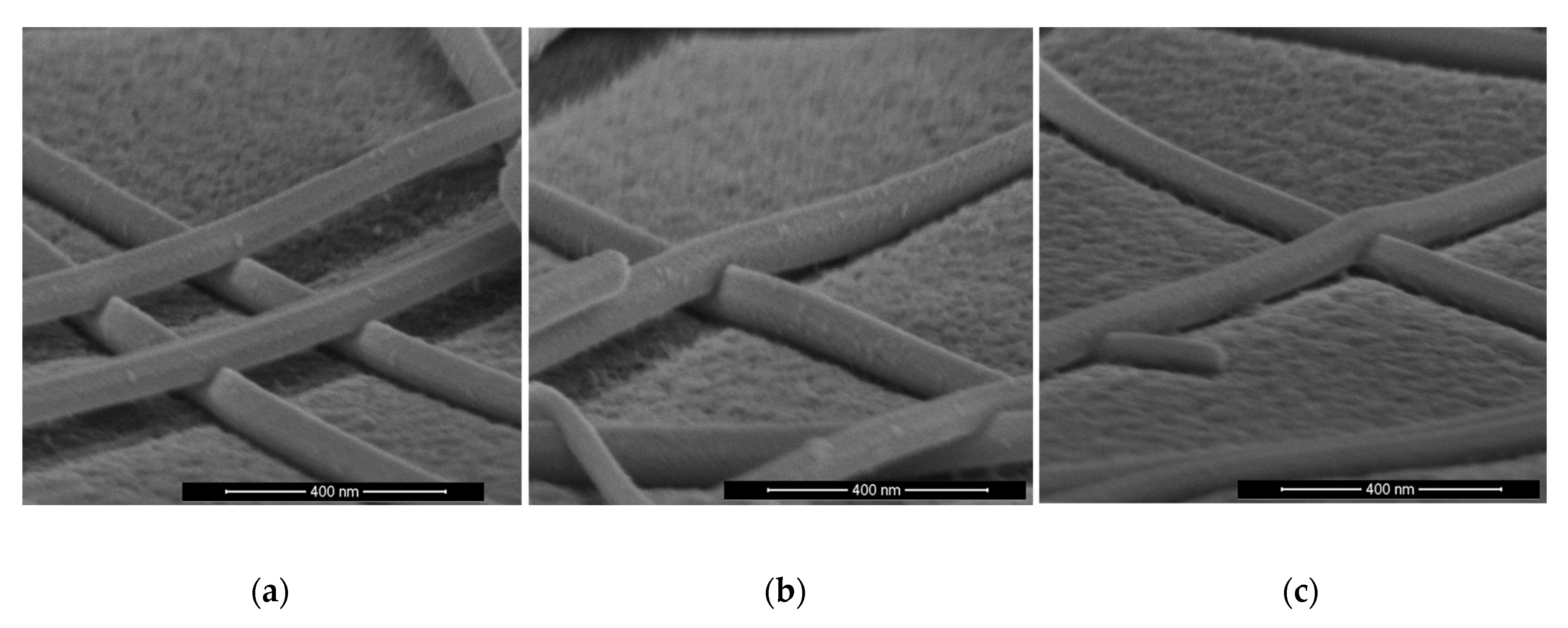 Nanomaterials 11 02511 g007a