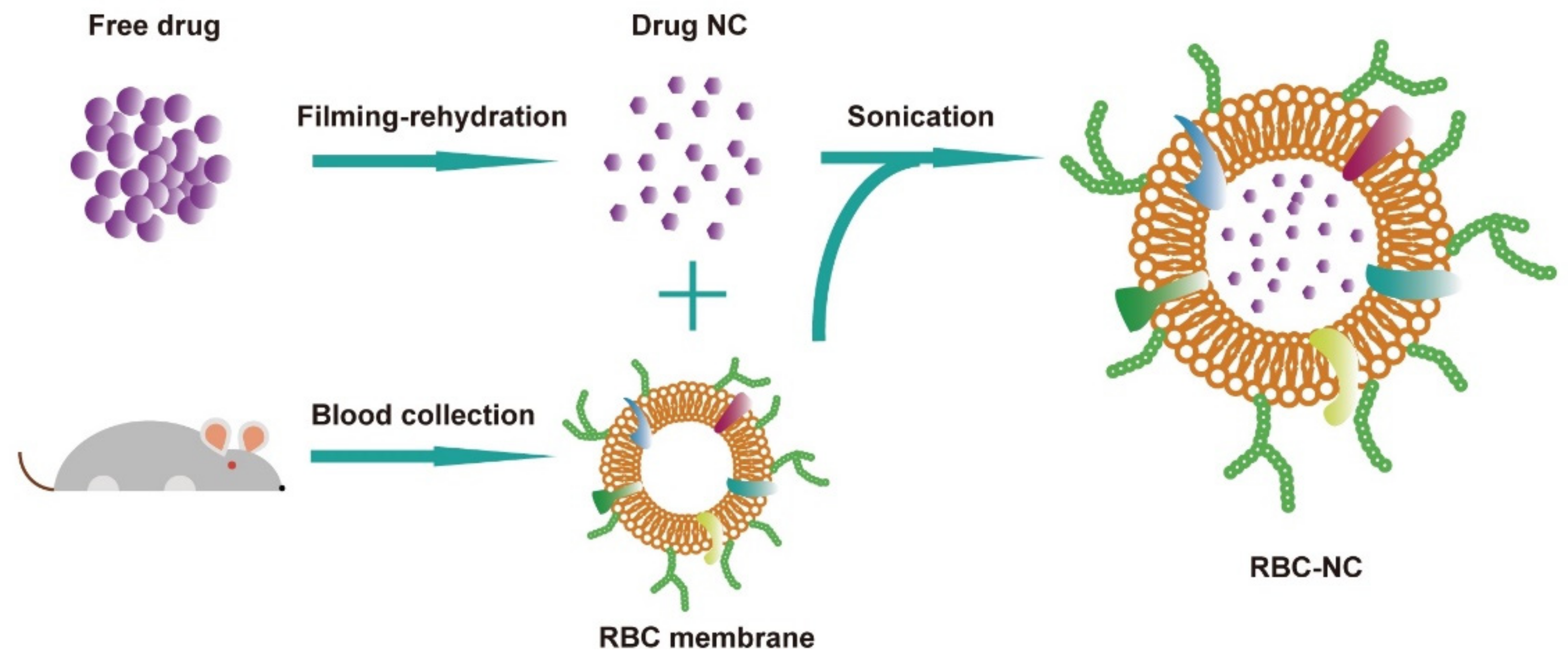 Nanomaterials 11 02513 g001 550