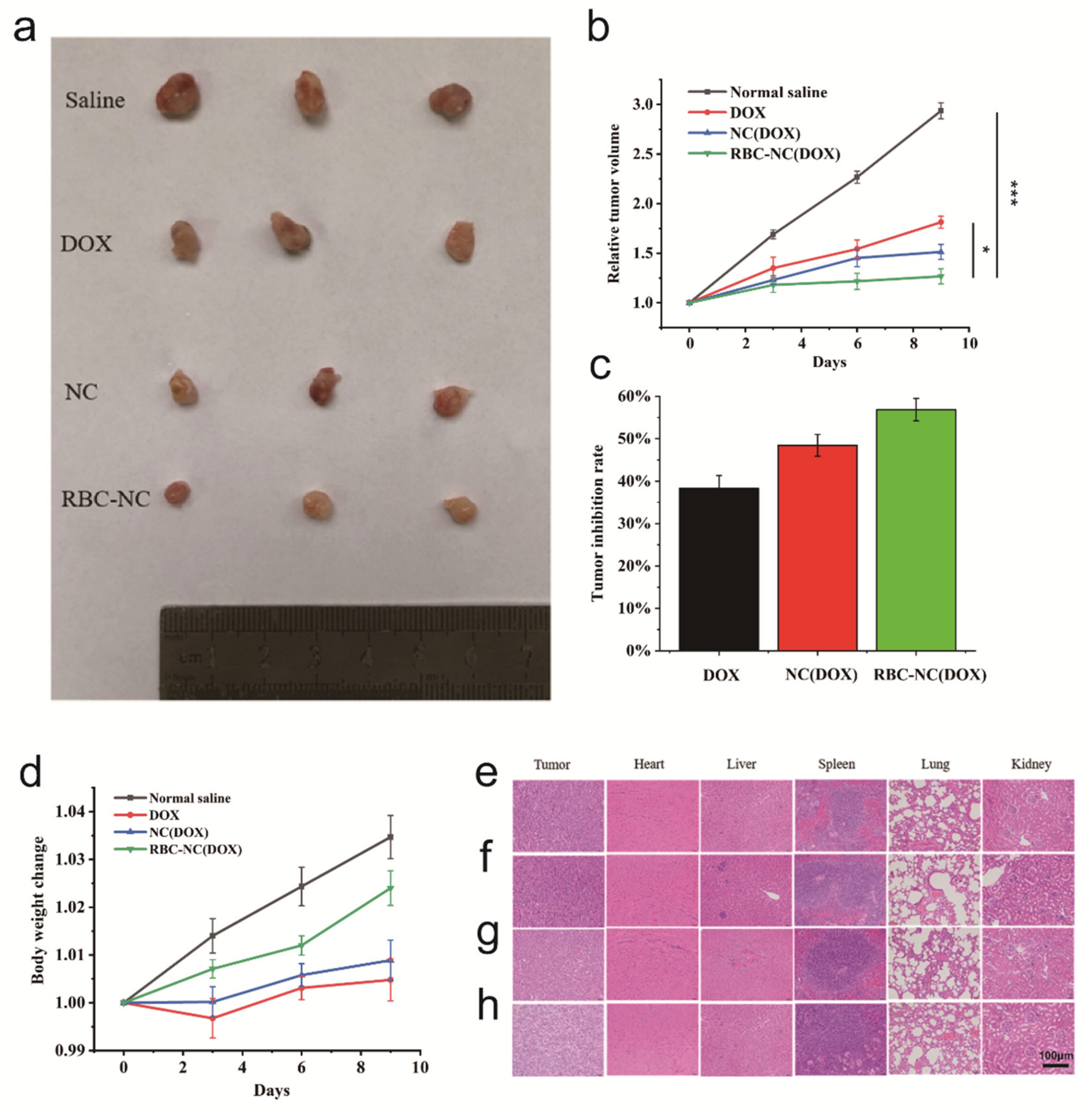 Nanomaterials 11 02513 g005 550