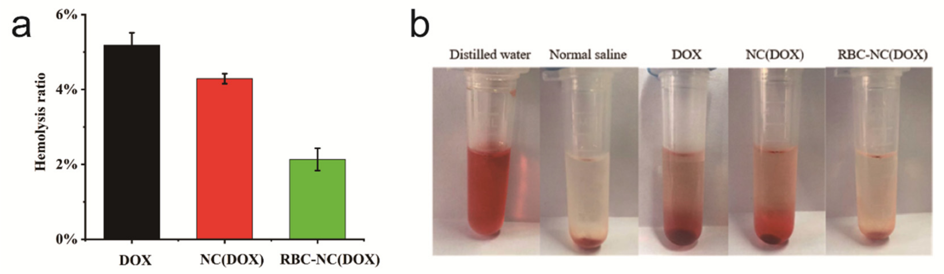 Nanomaterials 11 02513 g006 550