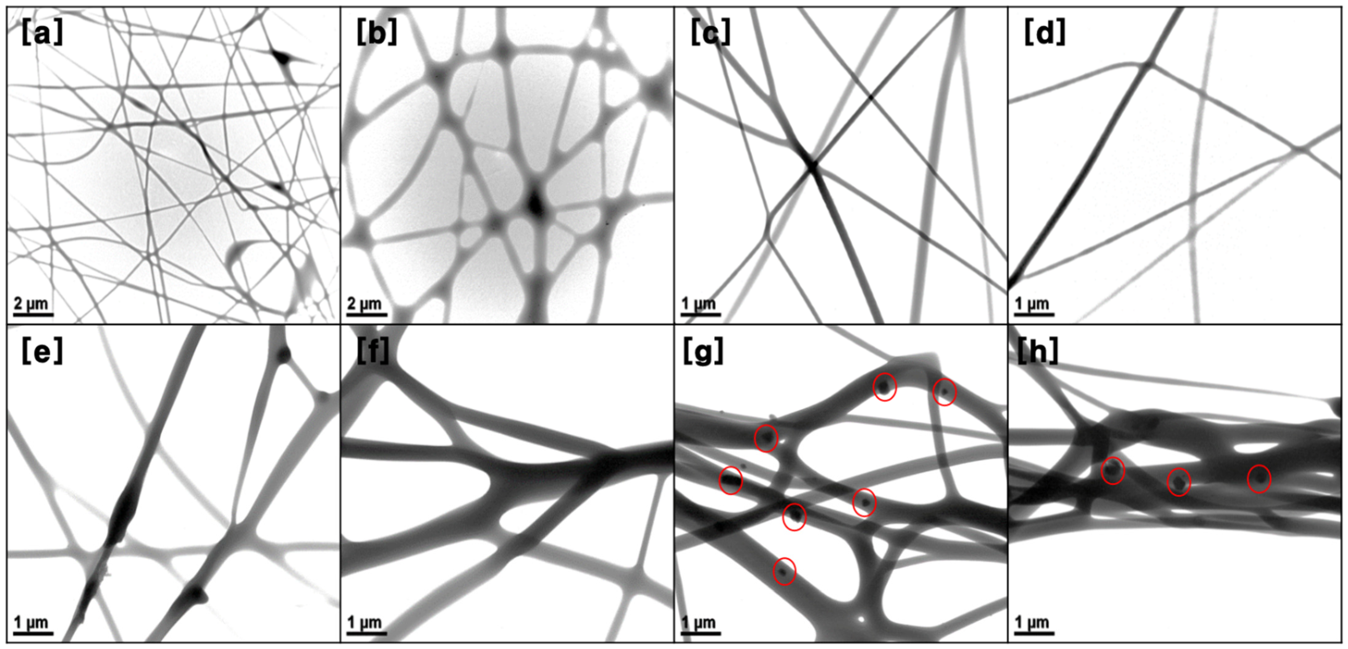 Nanomaterials 11 02514 g005 550