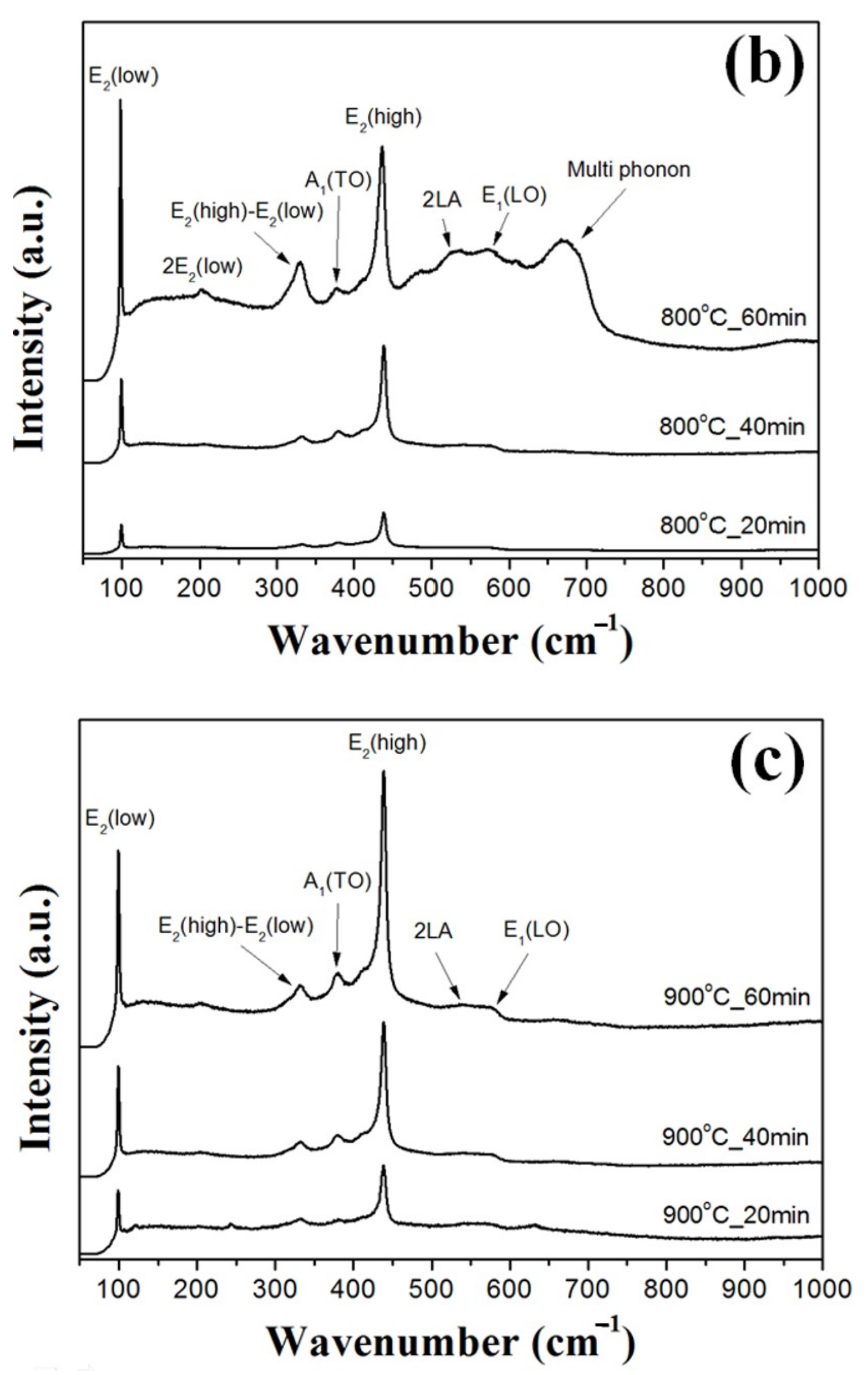 Nanomaterials 11 02518 g004b