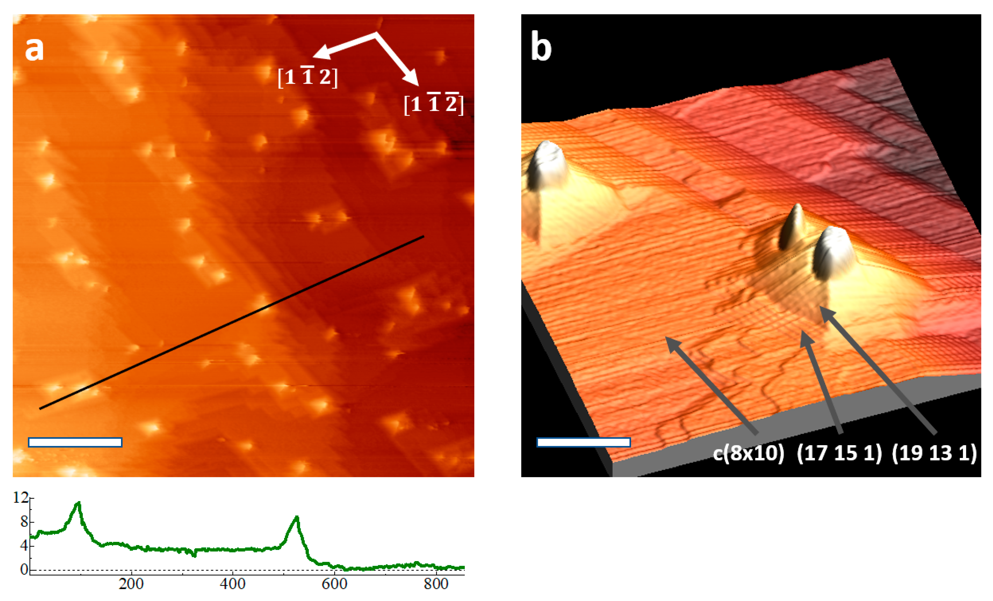 Nanomaterials 11 02521 g001 550