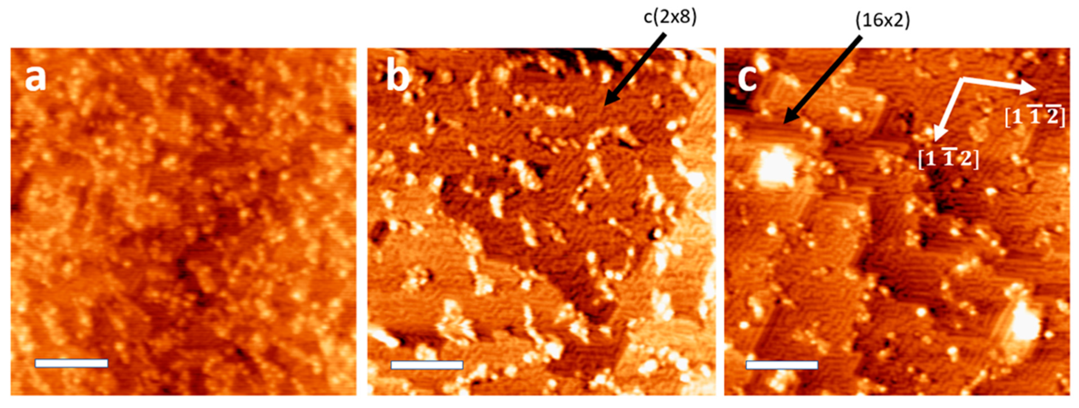 Nanomaterials 11 02521 g002 550
