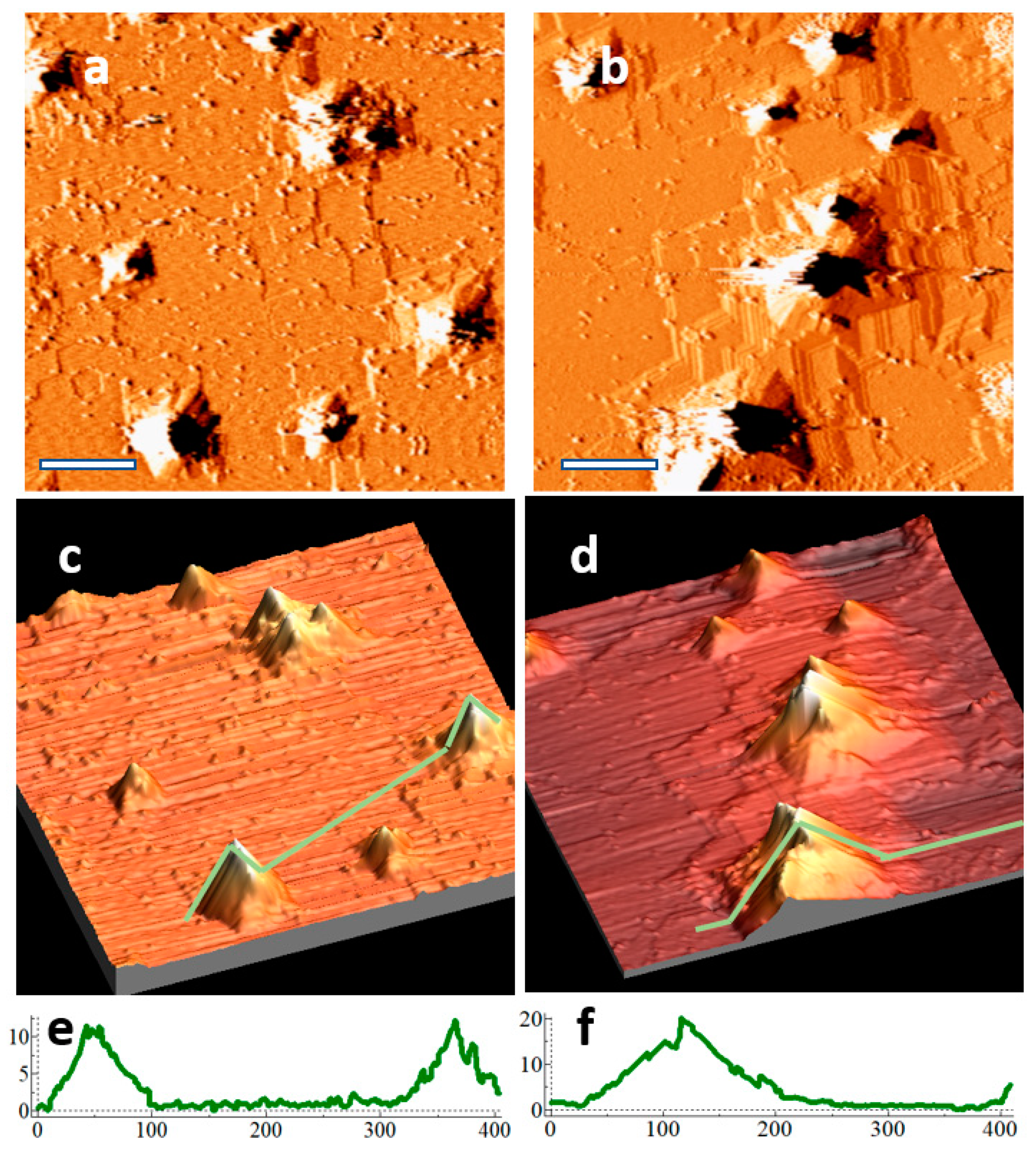 Nanomaterials 11 02521 g004 550