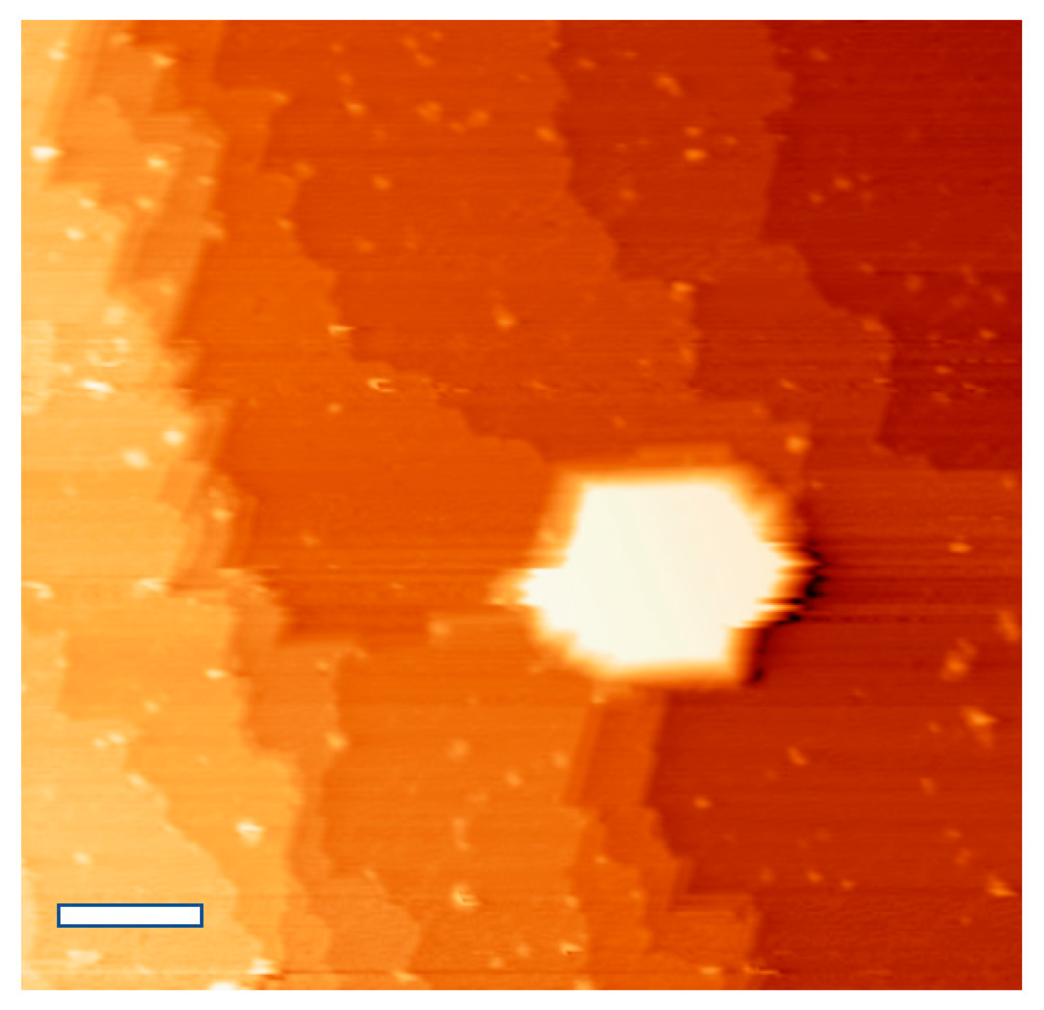 Nanomaterials 11 02521 g005 550