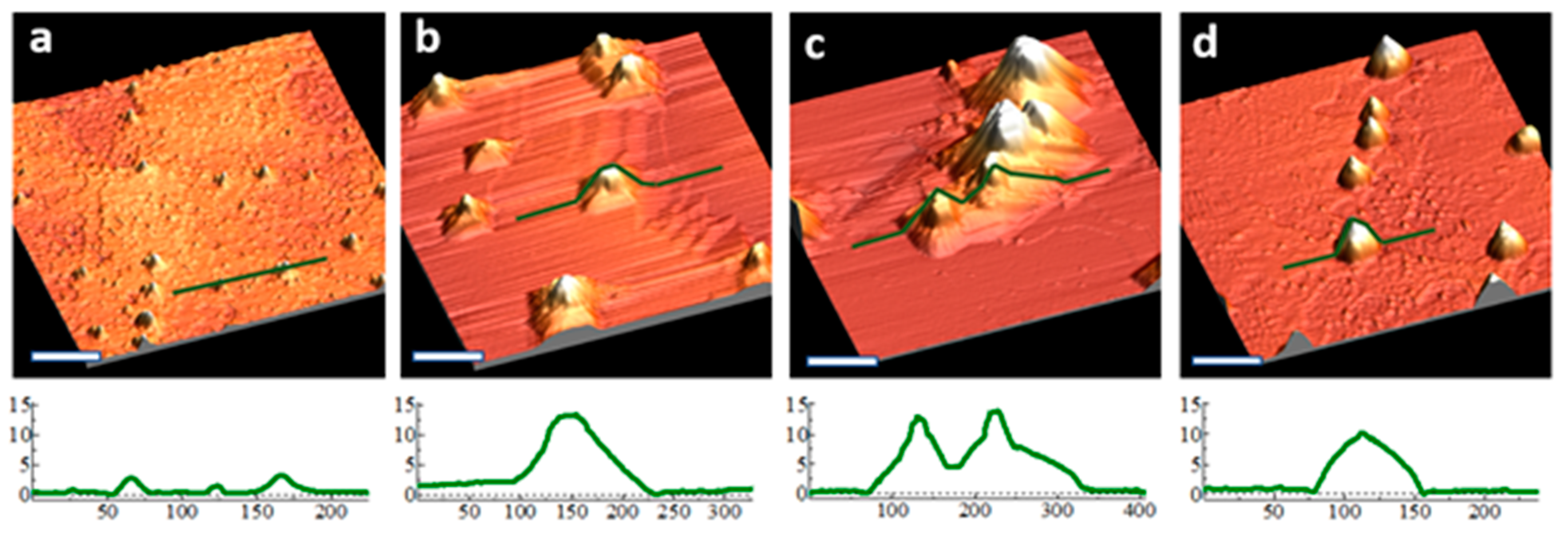Nanomaterials 11 02521 g006 550