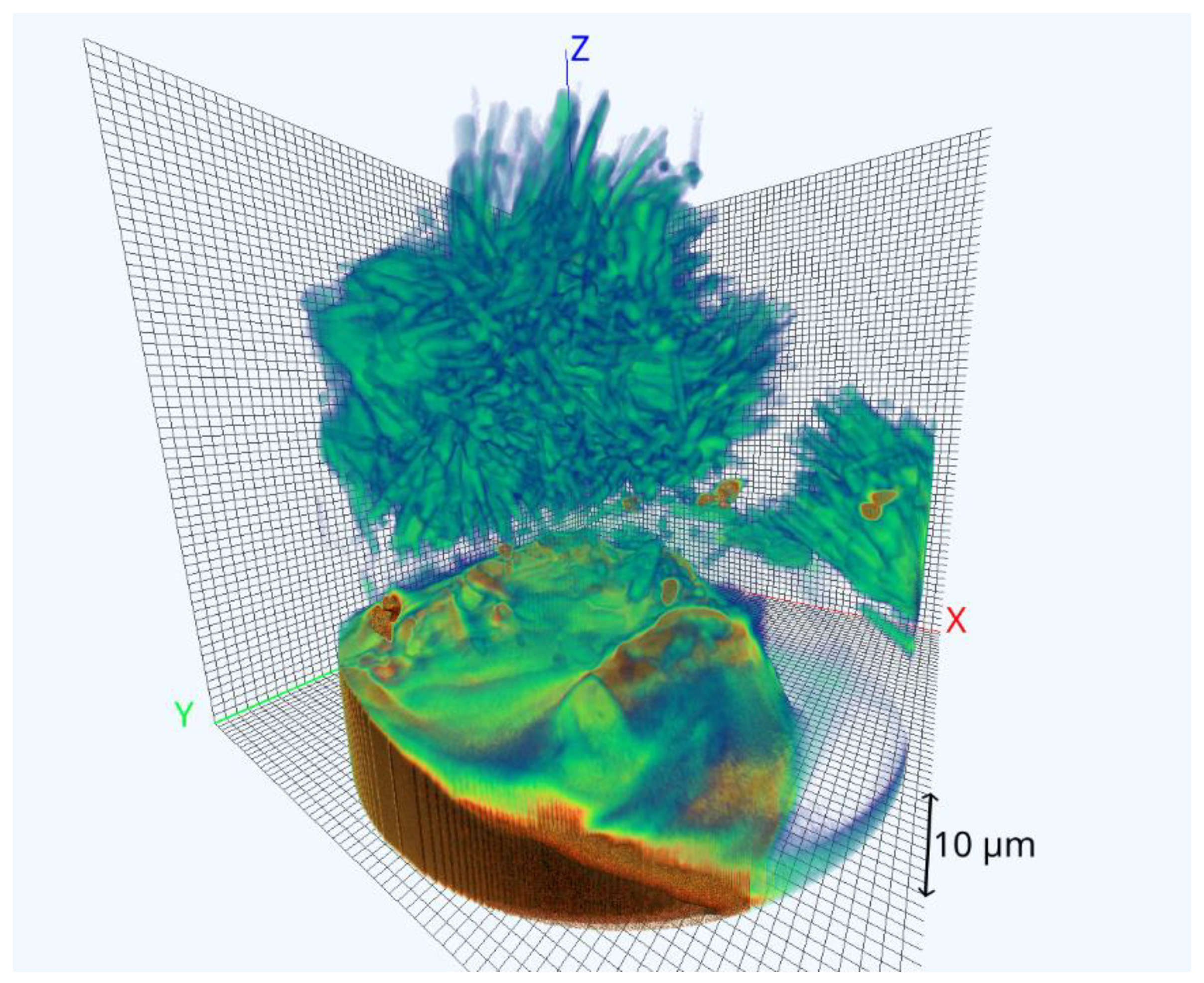Nanomaterials 11 02524 g002 550