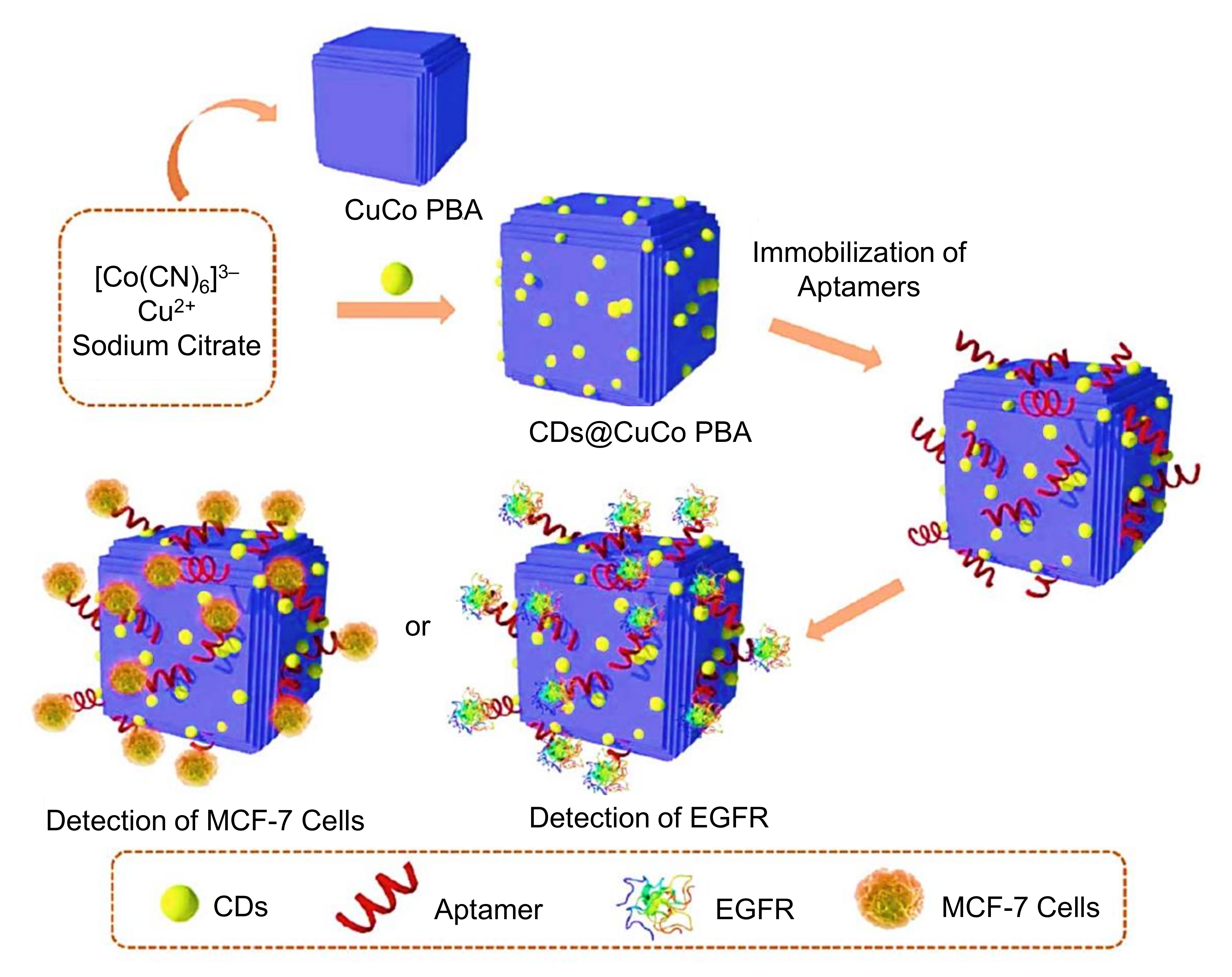 Nanomaterials 11 02525 g015