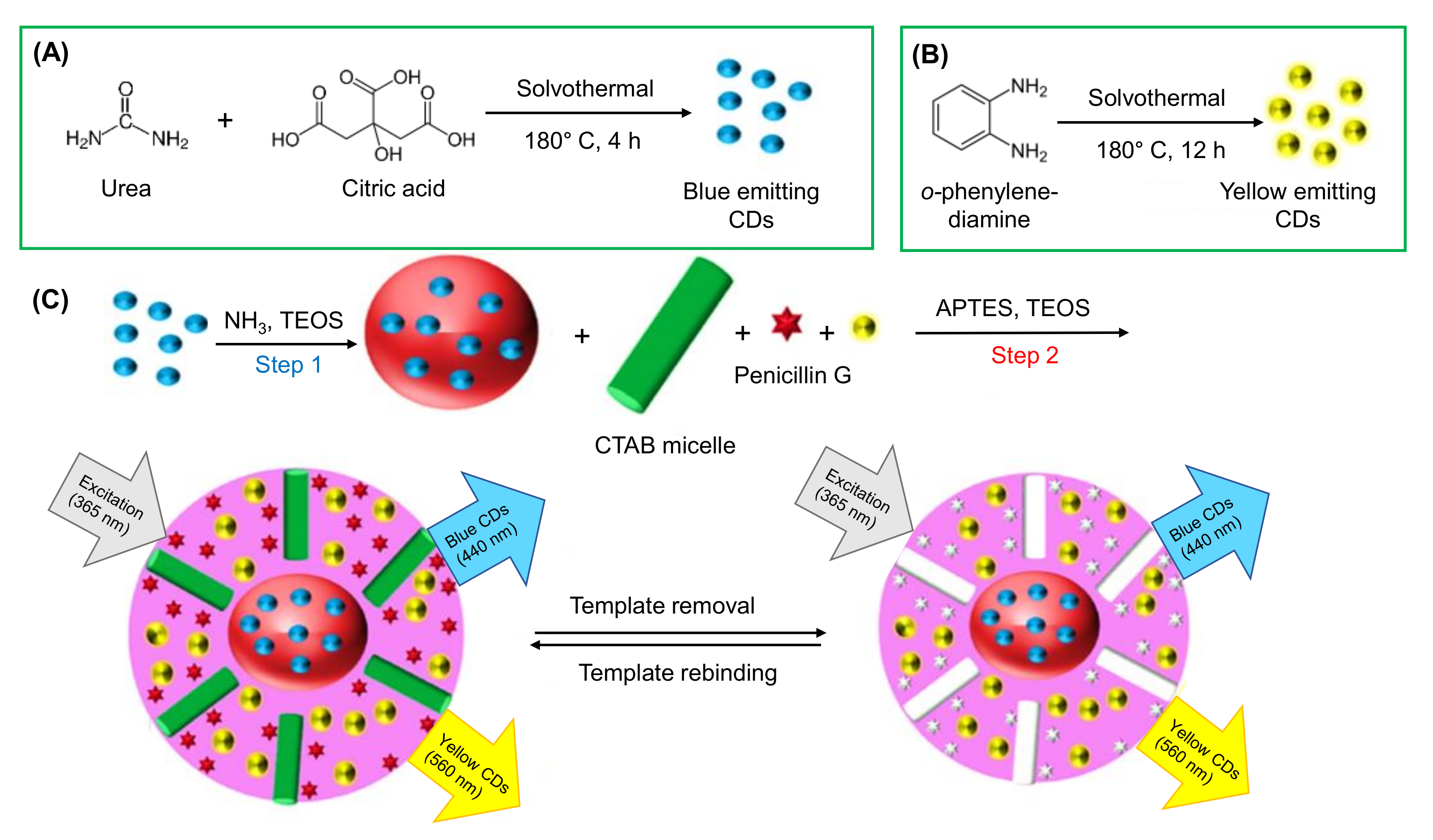 Nanomaterials 11 02525 g017