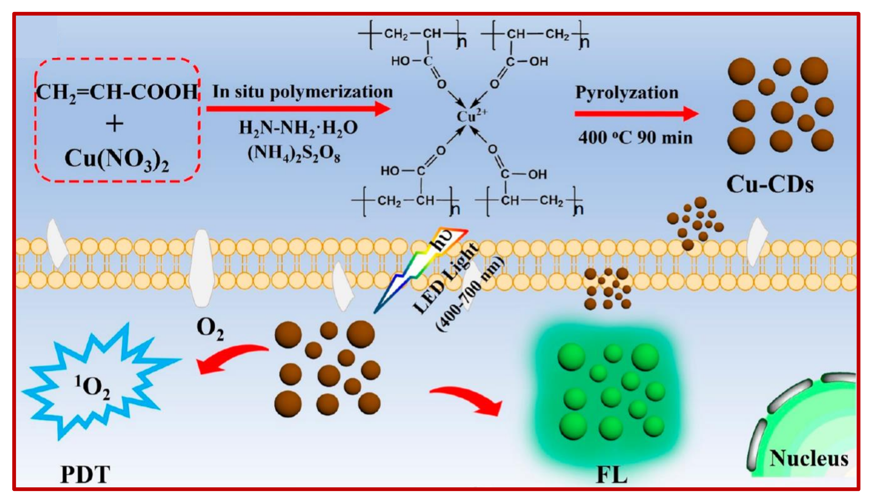 Nanomaterials 11 02525 g026