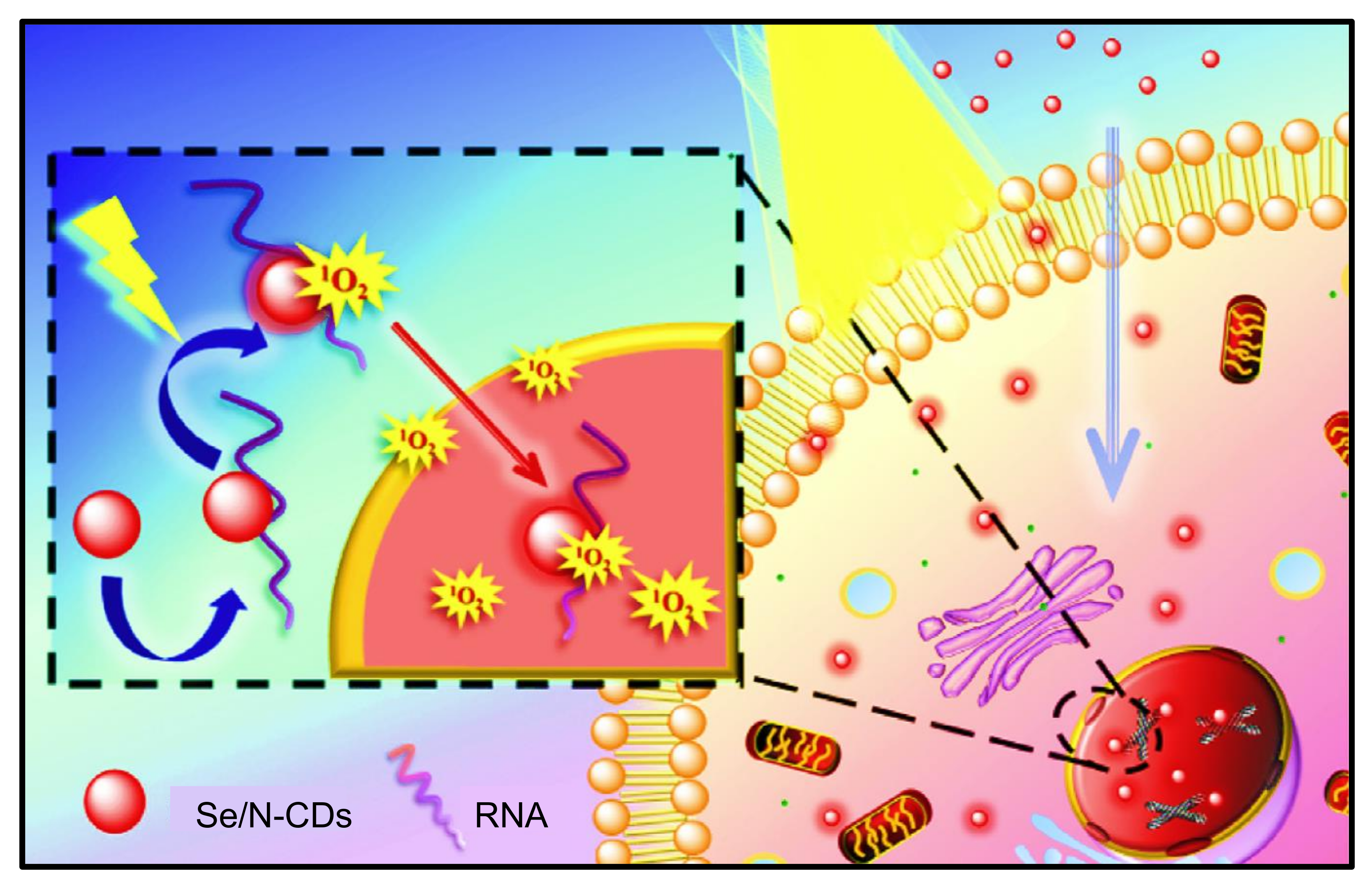 Nanomaterials 11 02525 g027