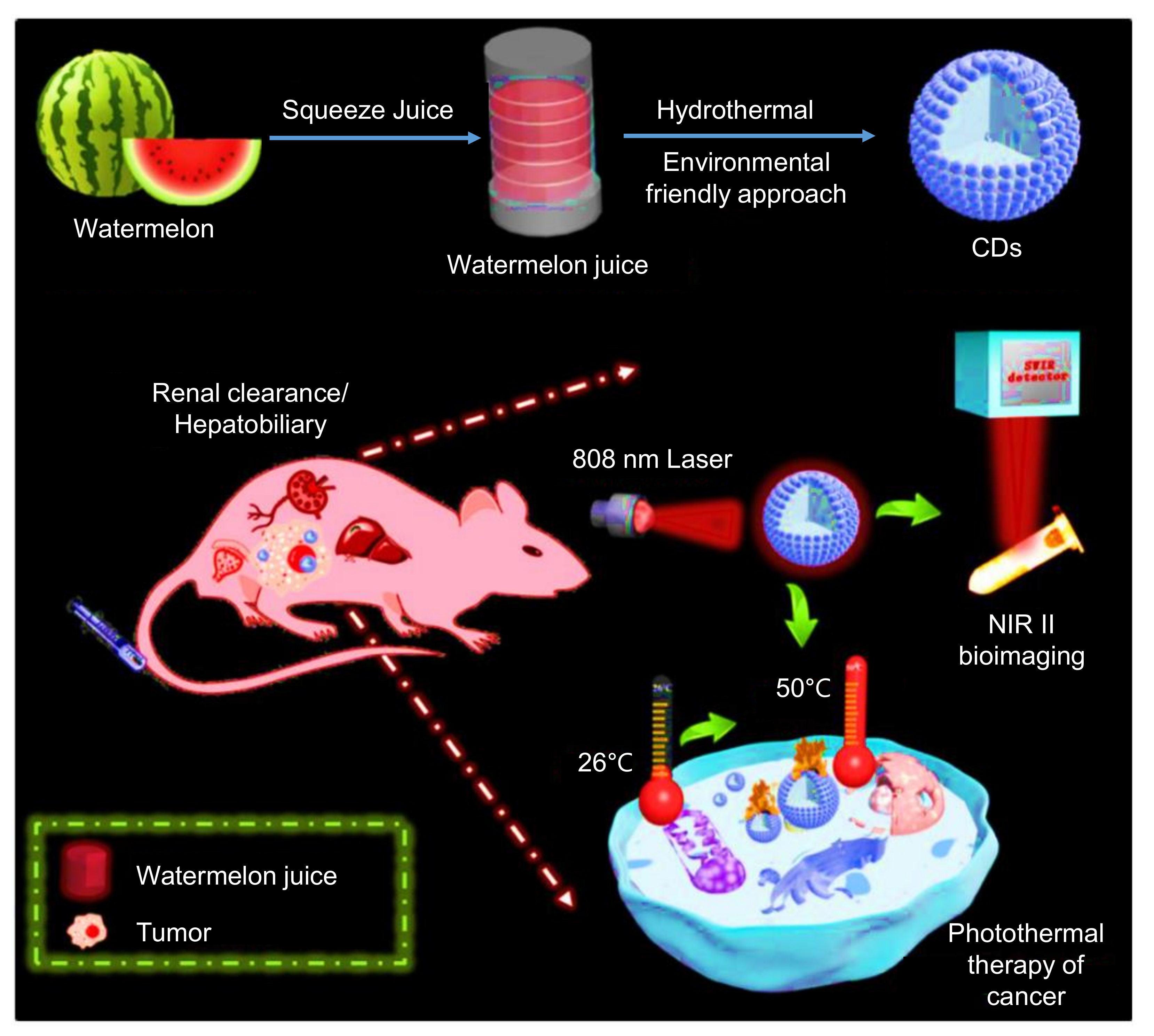 Nanomaterials 11 02525 g029
