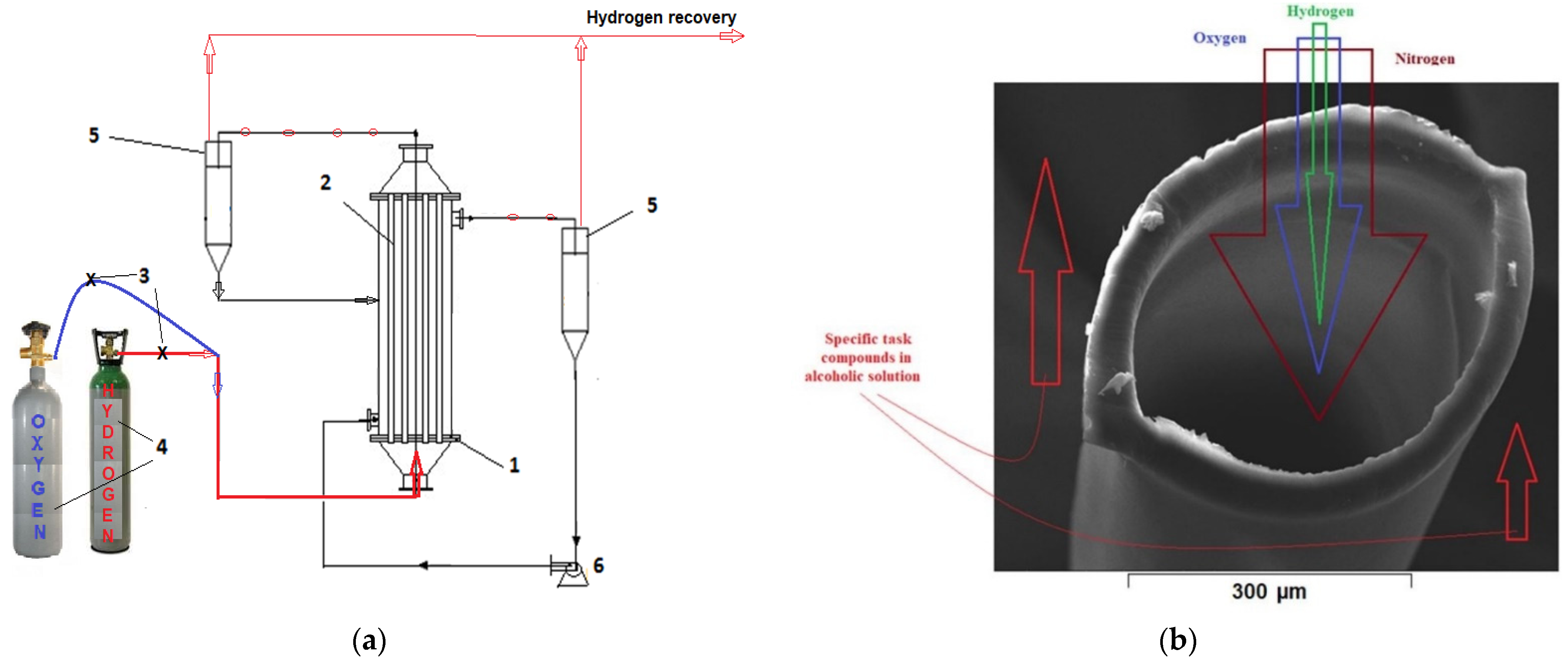 Nanomaterials 11 02526 g004