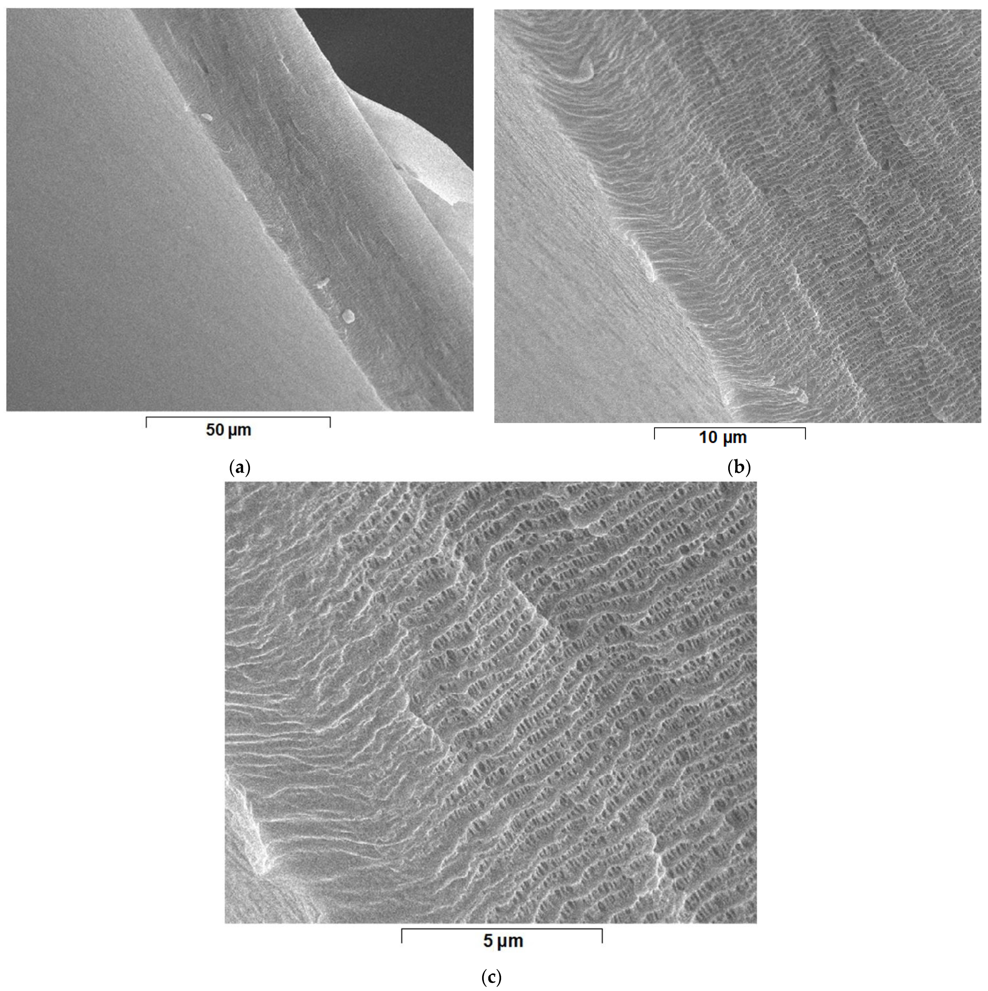 Nanomaterials 11 02526 g005