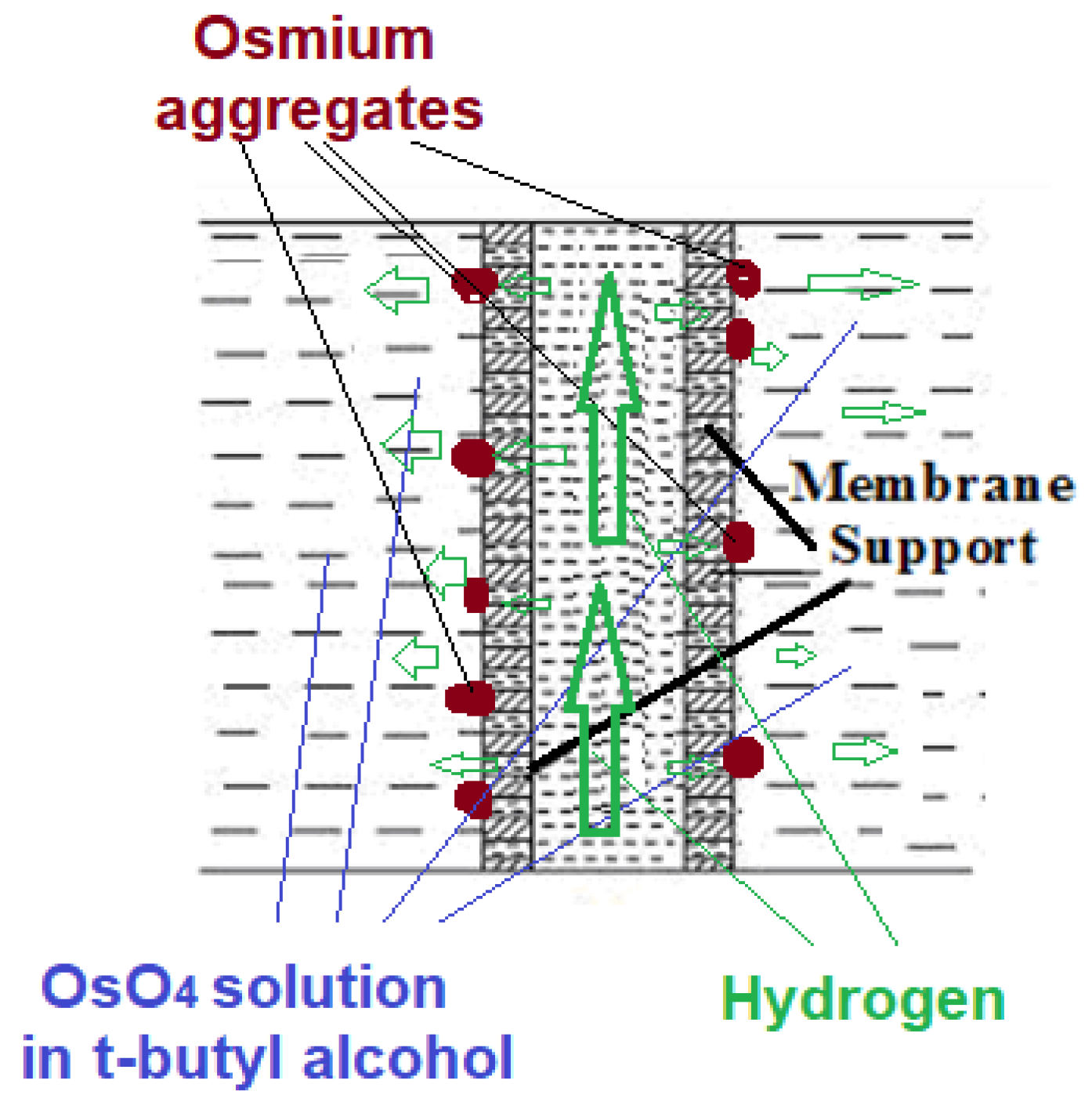Nanomaterials 11 02526 g006