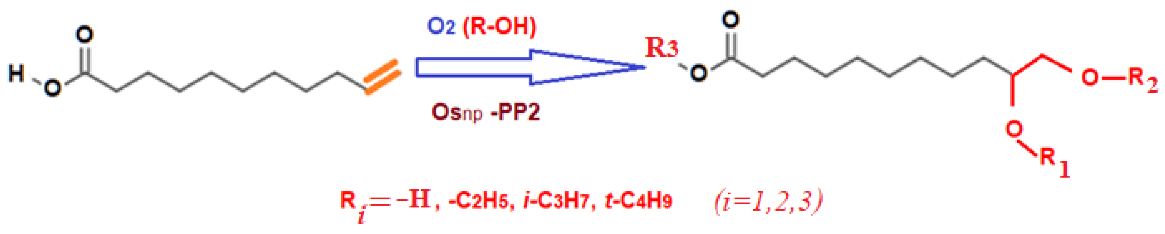 Nanomaterials 11 02526 g017