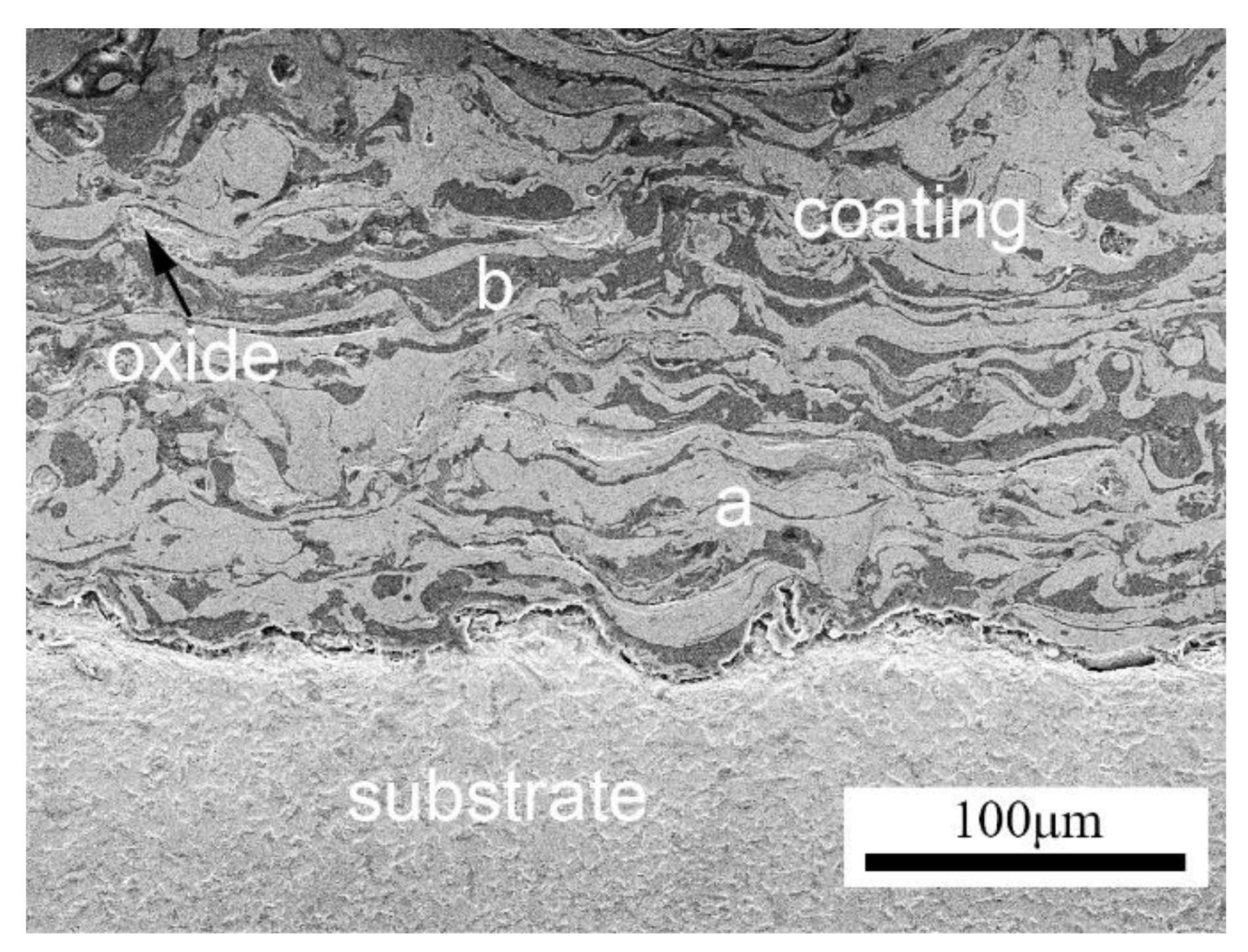 Nanomaterials 11 02527 g003