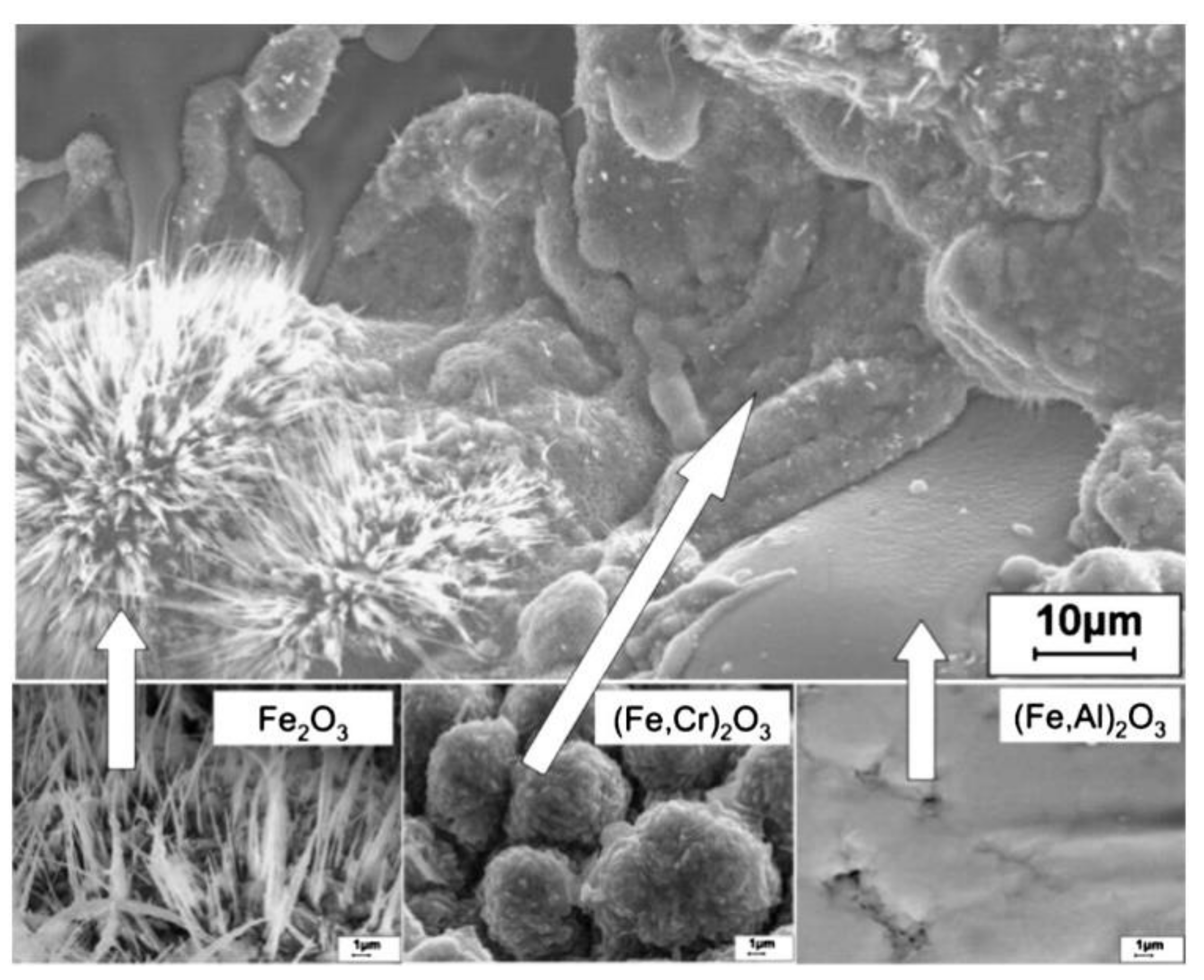 Nanomaterials 11 02527 g008