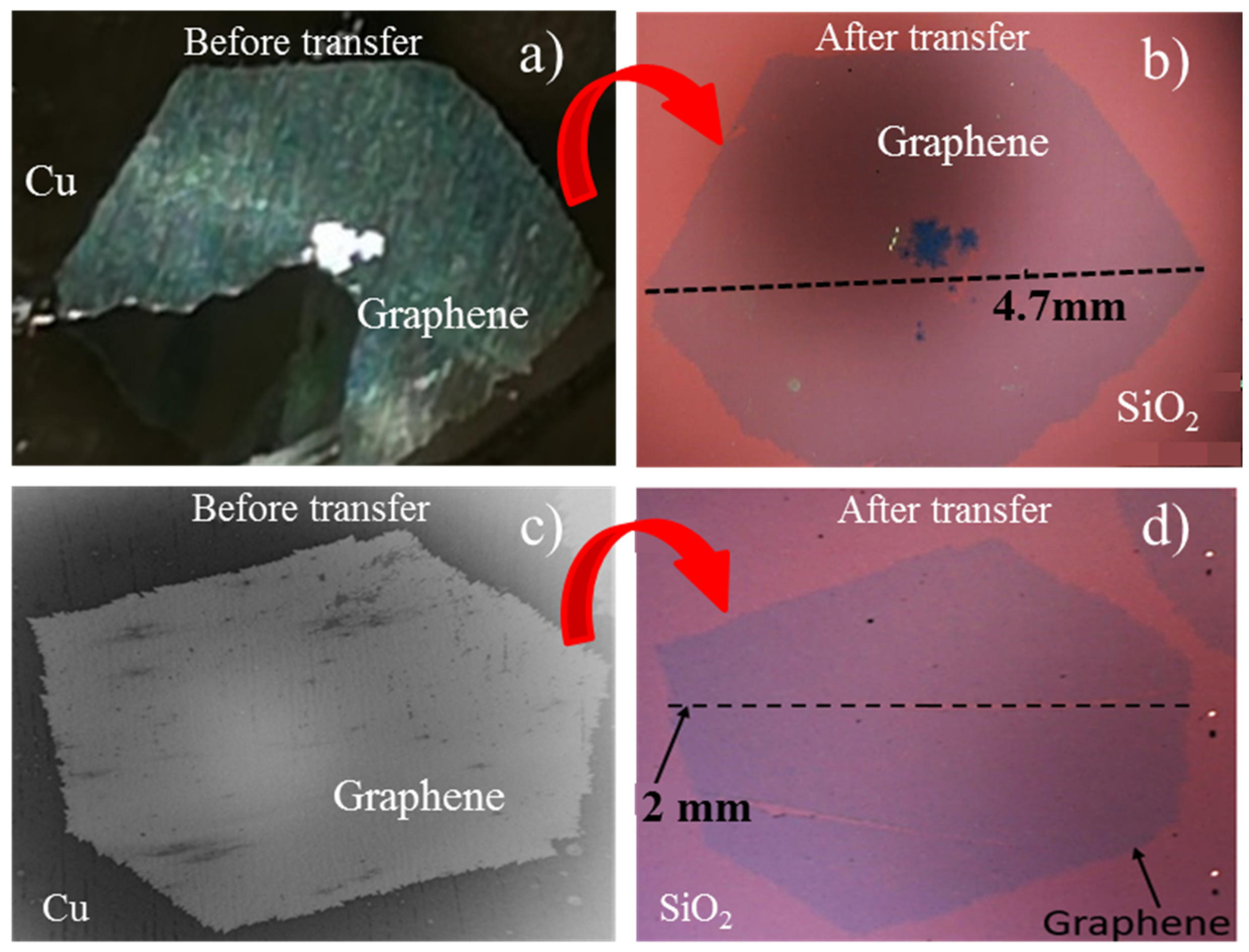 Nanomaterials 11 02528 g003