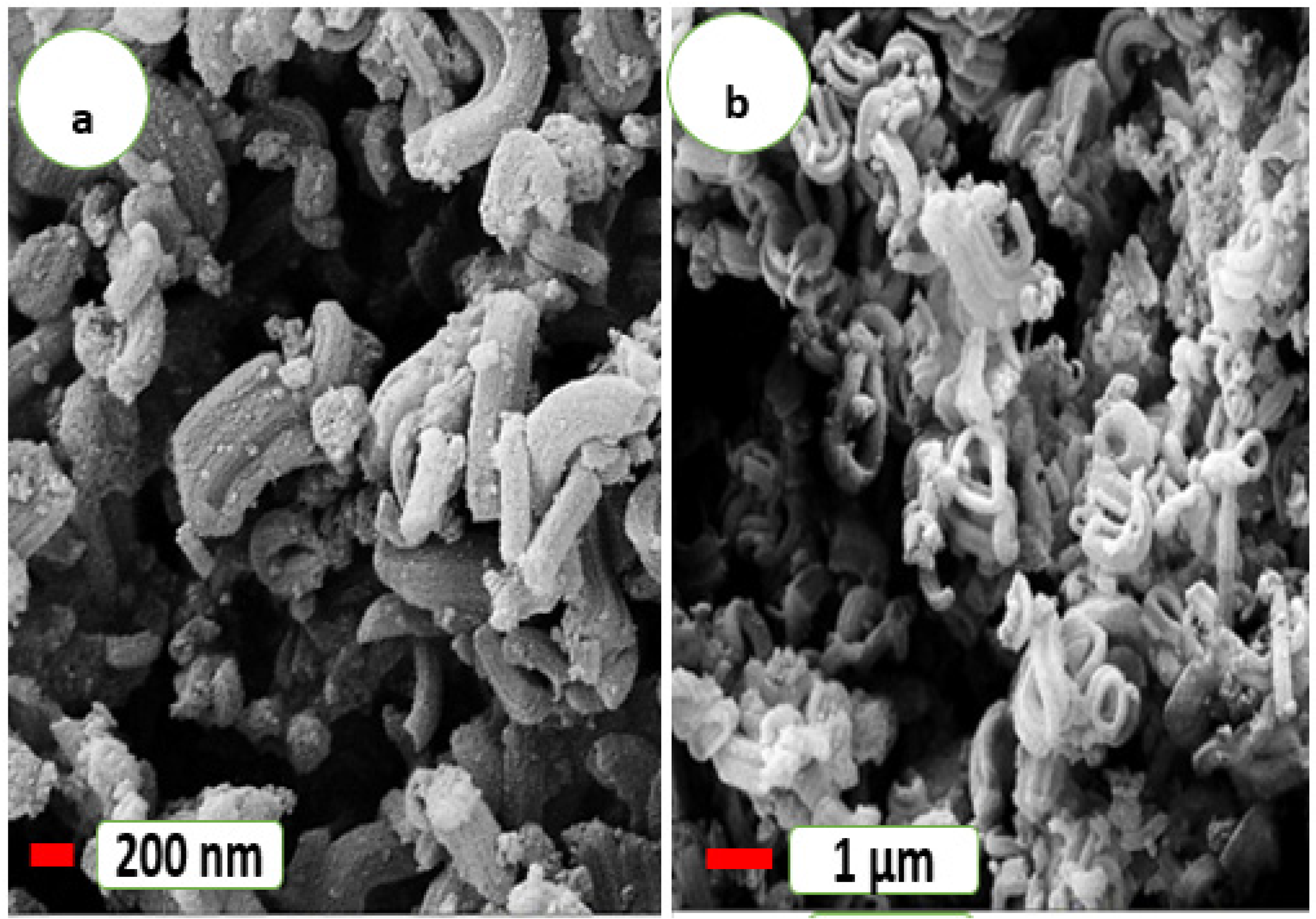 Nanomaterials 11 02533 g003
