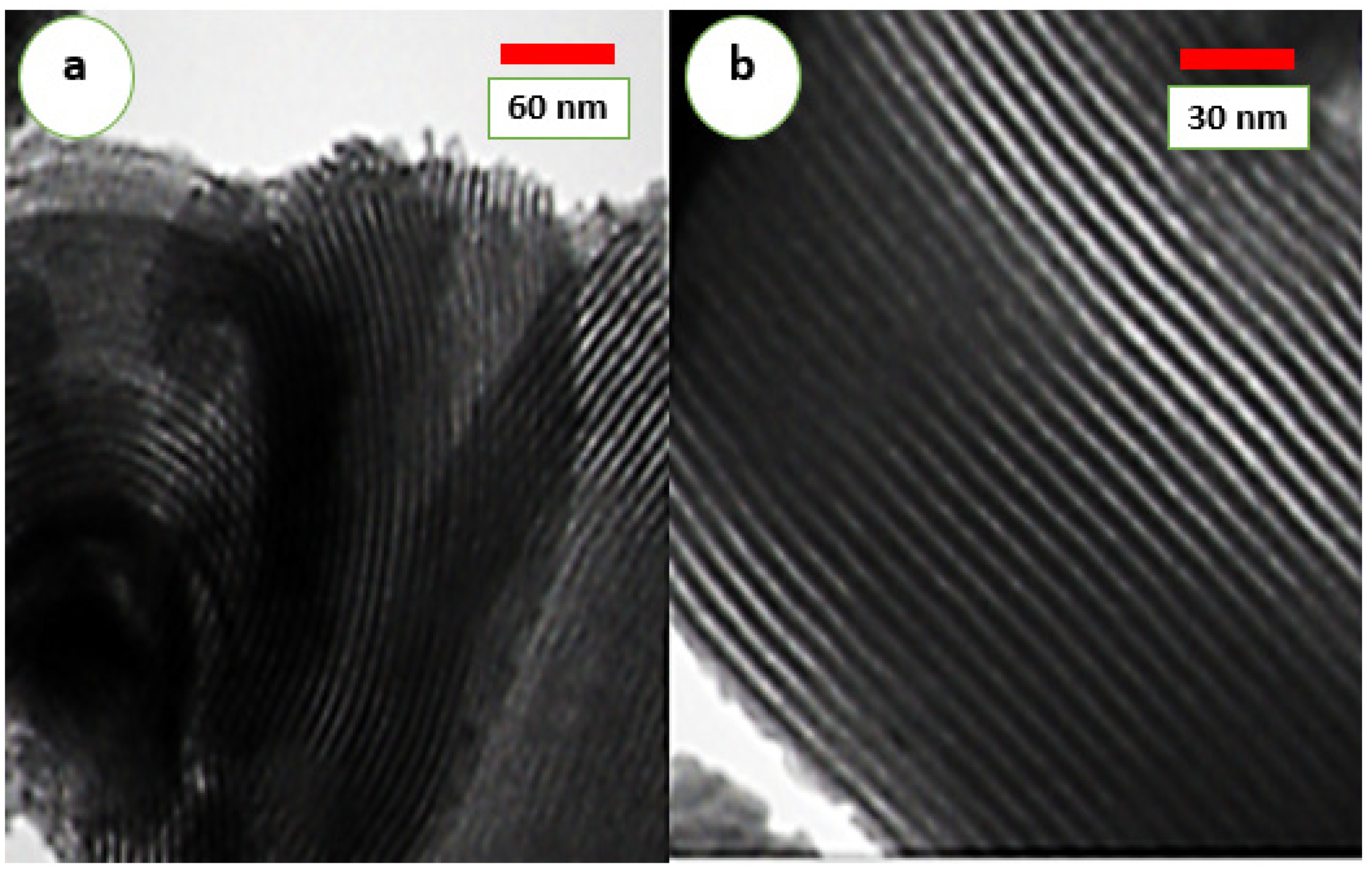 Nanomaterials 11 02533 g004