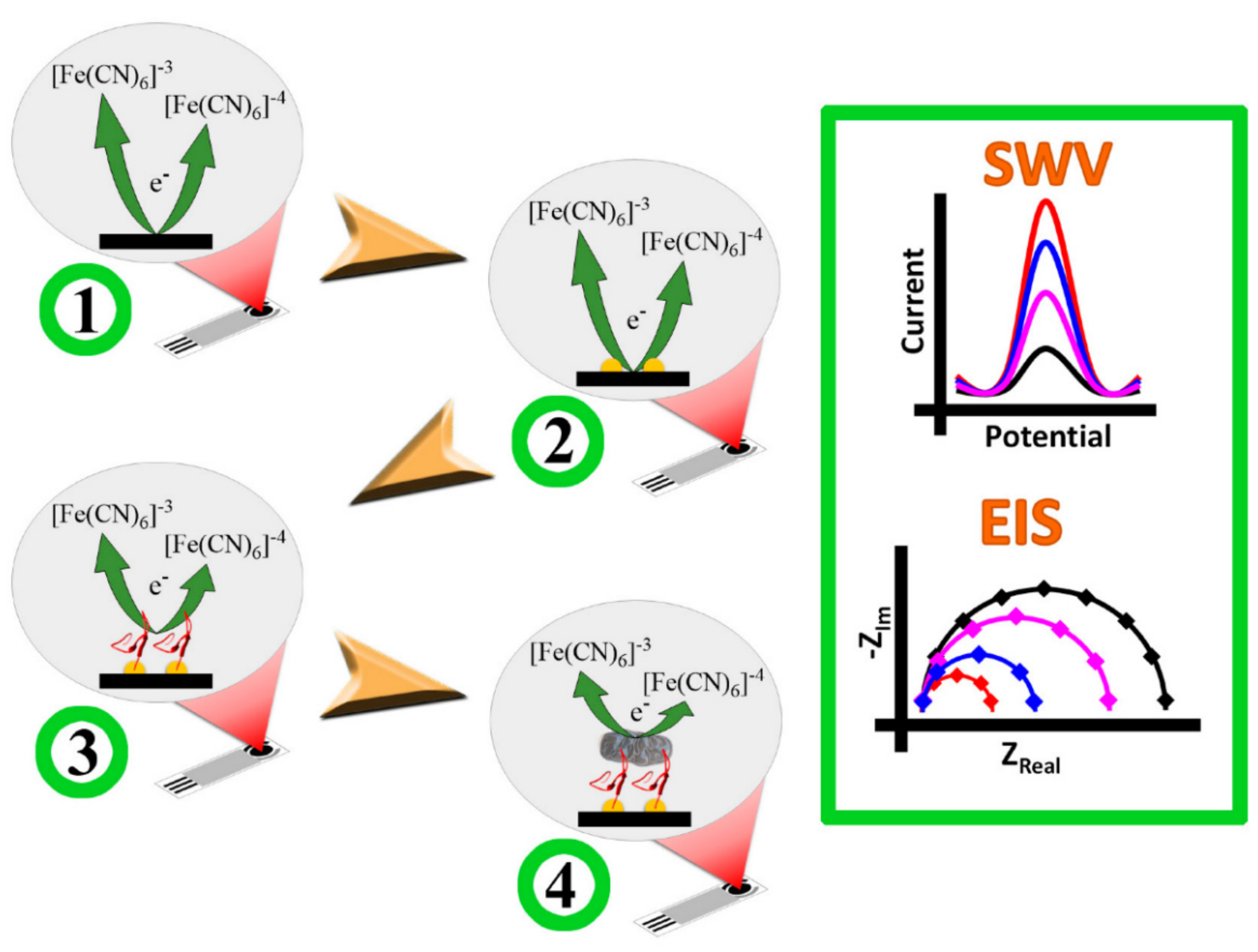Nanomaterials 11 02535 g003 550