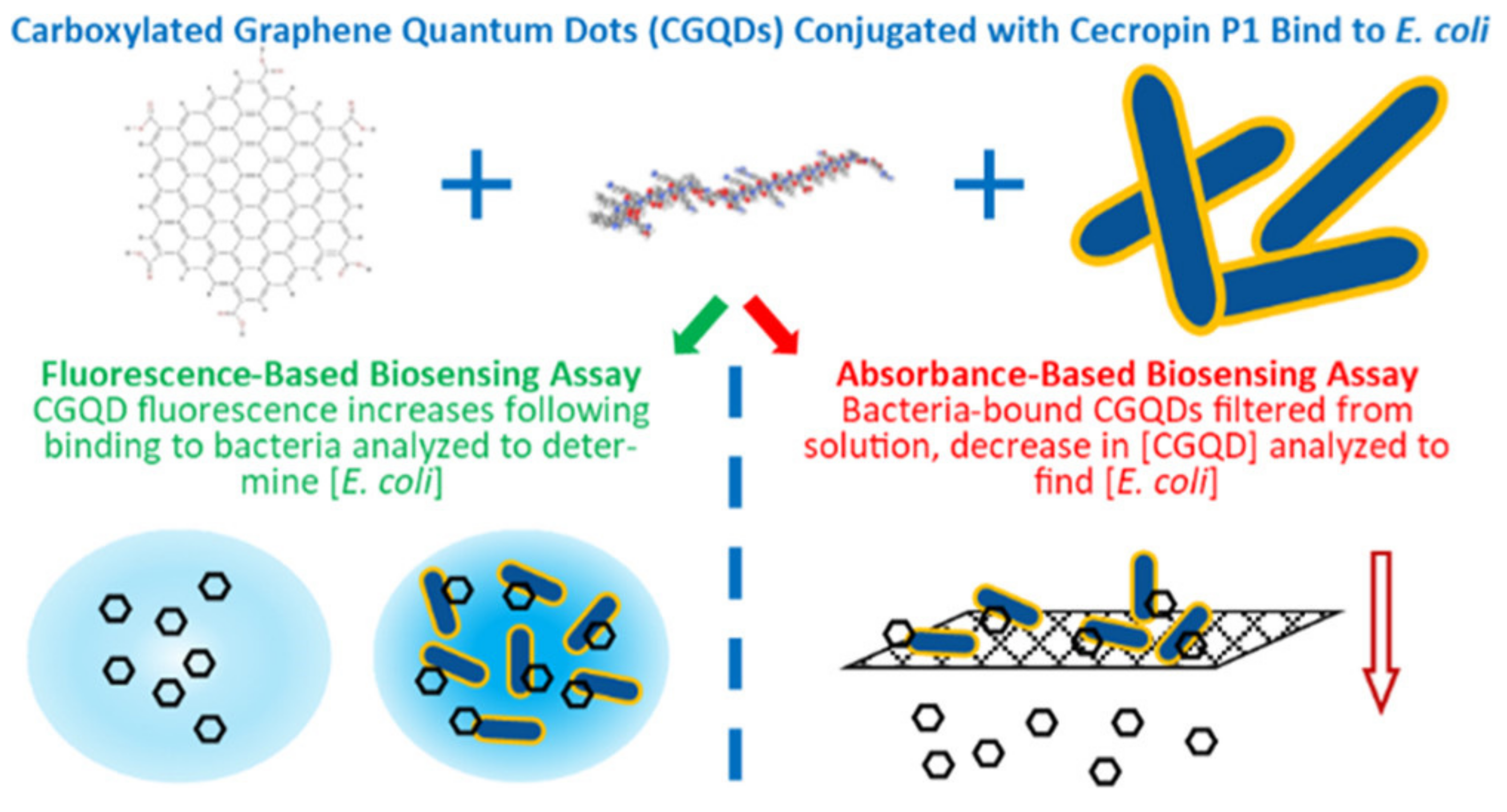 Nanomaterials 11 02535 g004 550