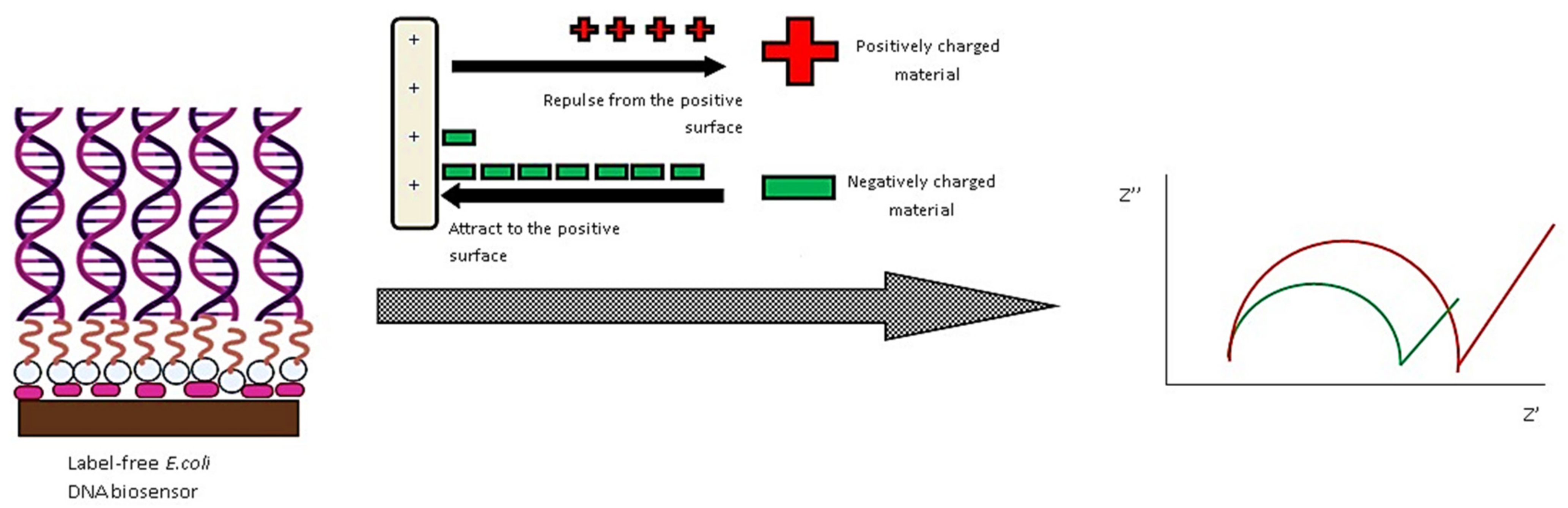 Nanomaterials 11 02535 g006 550