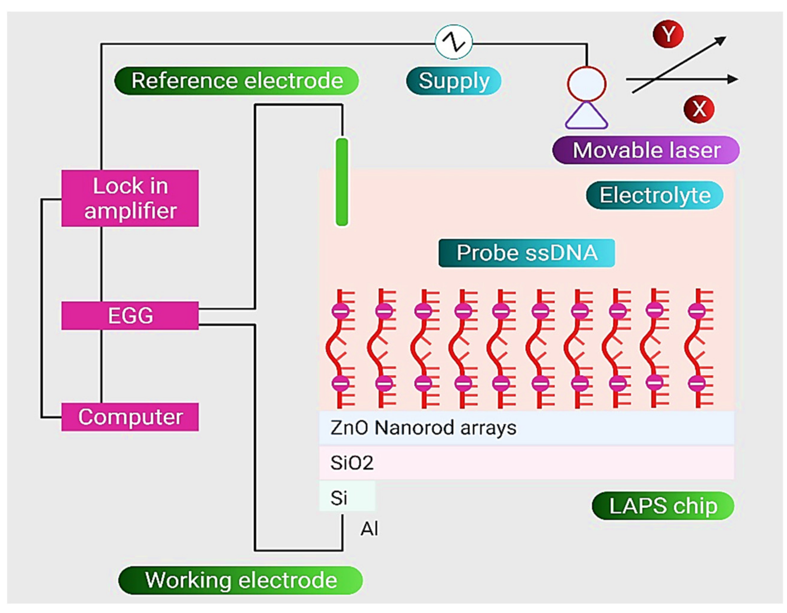 Nanomaterials 11 02535 g009 550