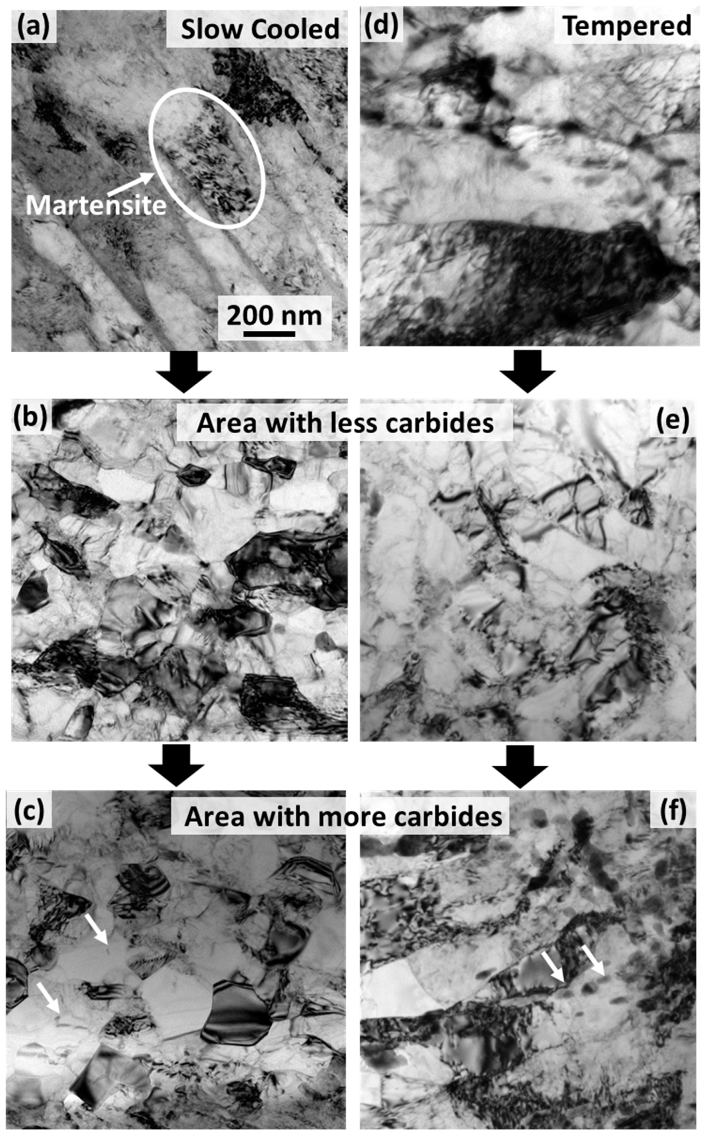 Nanomaterials 11 02538 g002