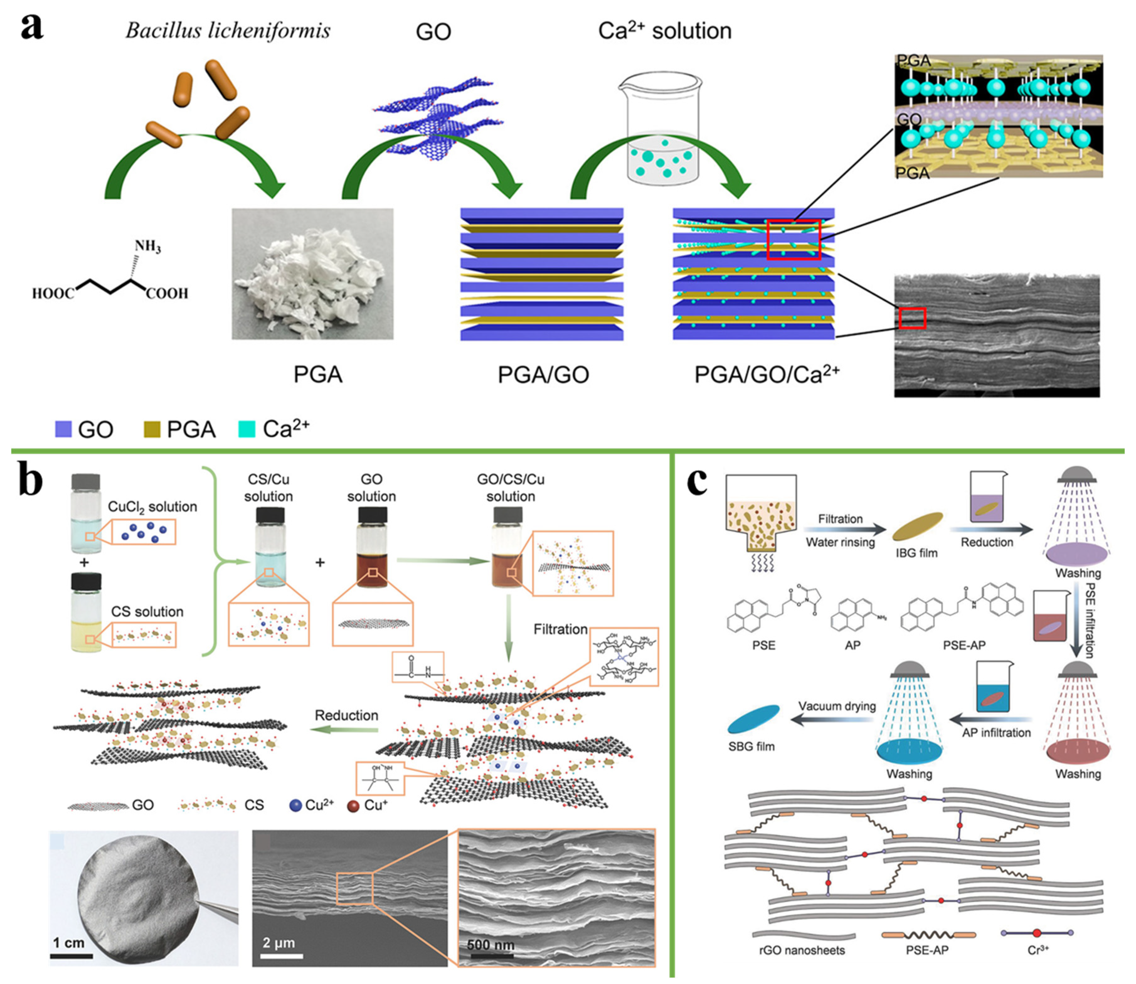 Nanomaterials 11 02539 g011