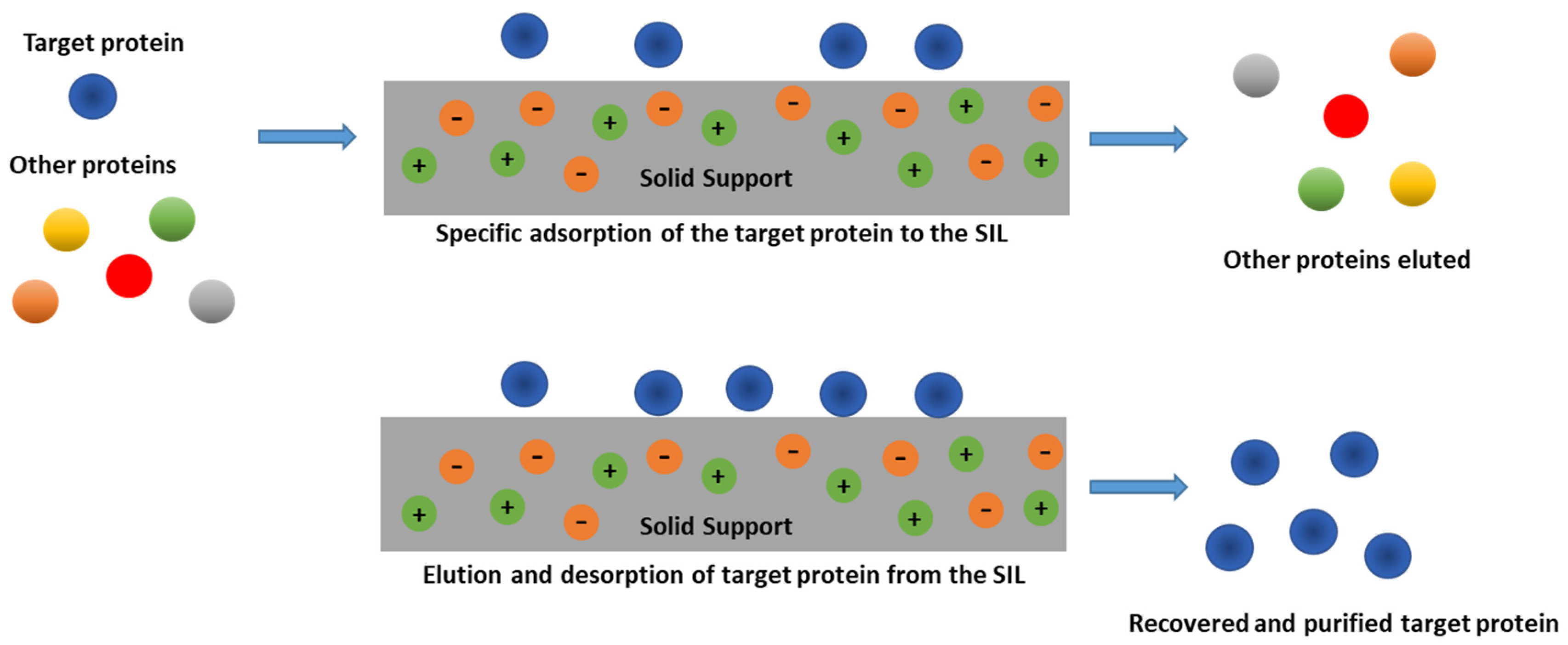 Nanomaterials 11 02542 g004