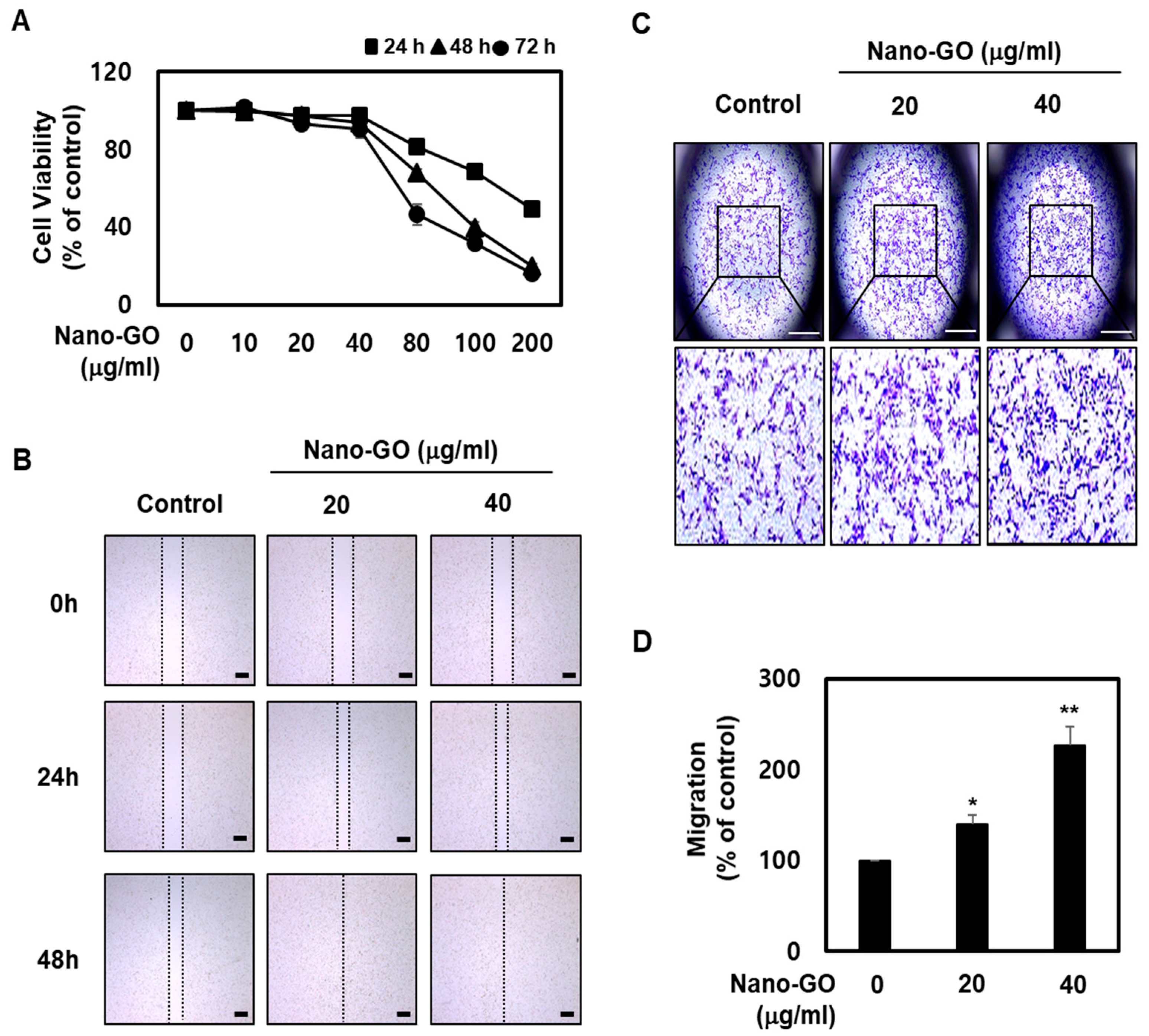 Nanomaterials 11 02546 g002