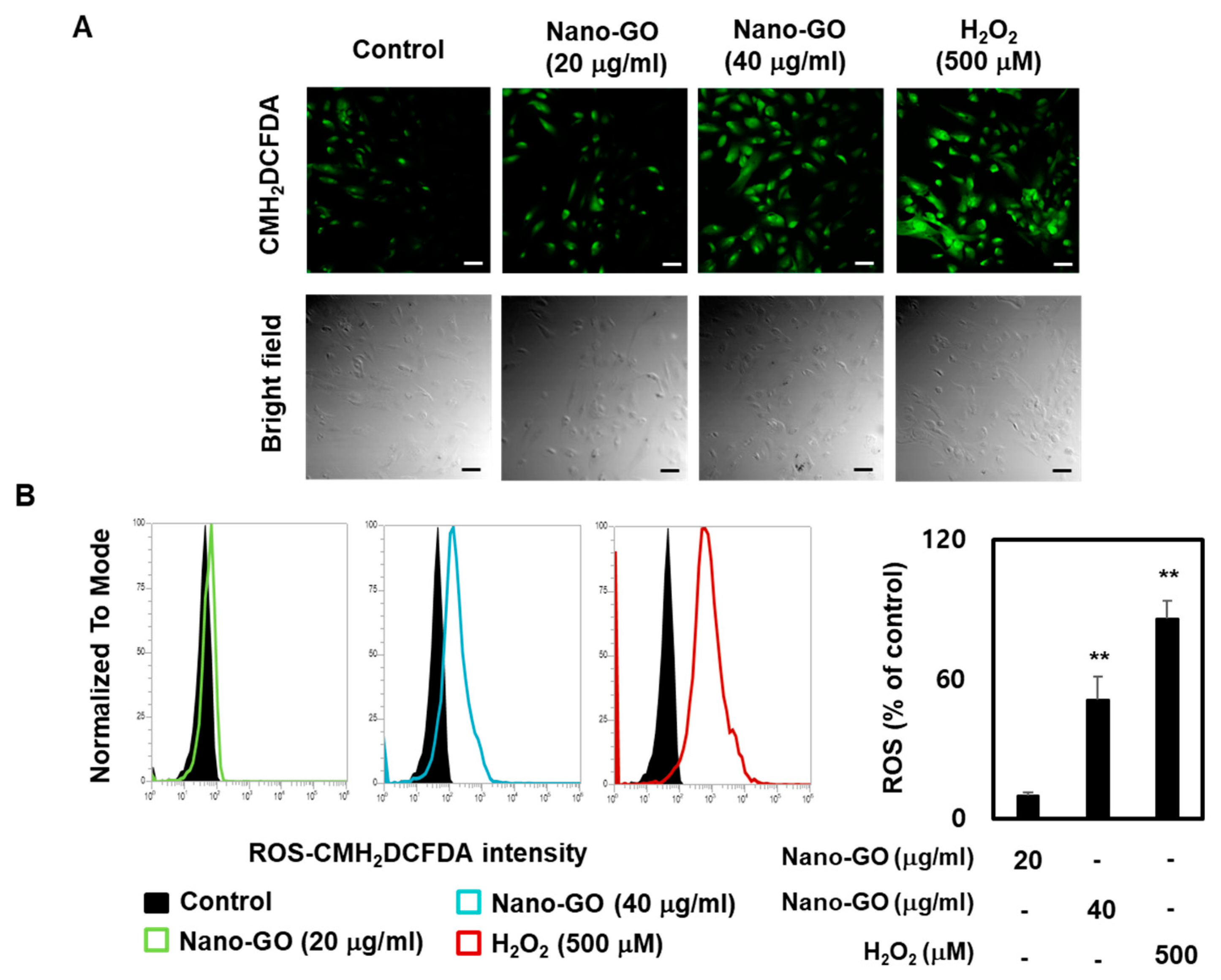 Nanomaterials 11 02546 g004