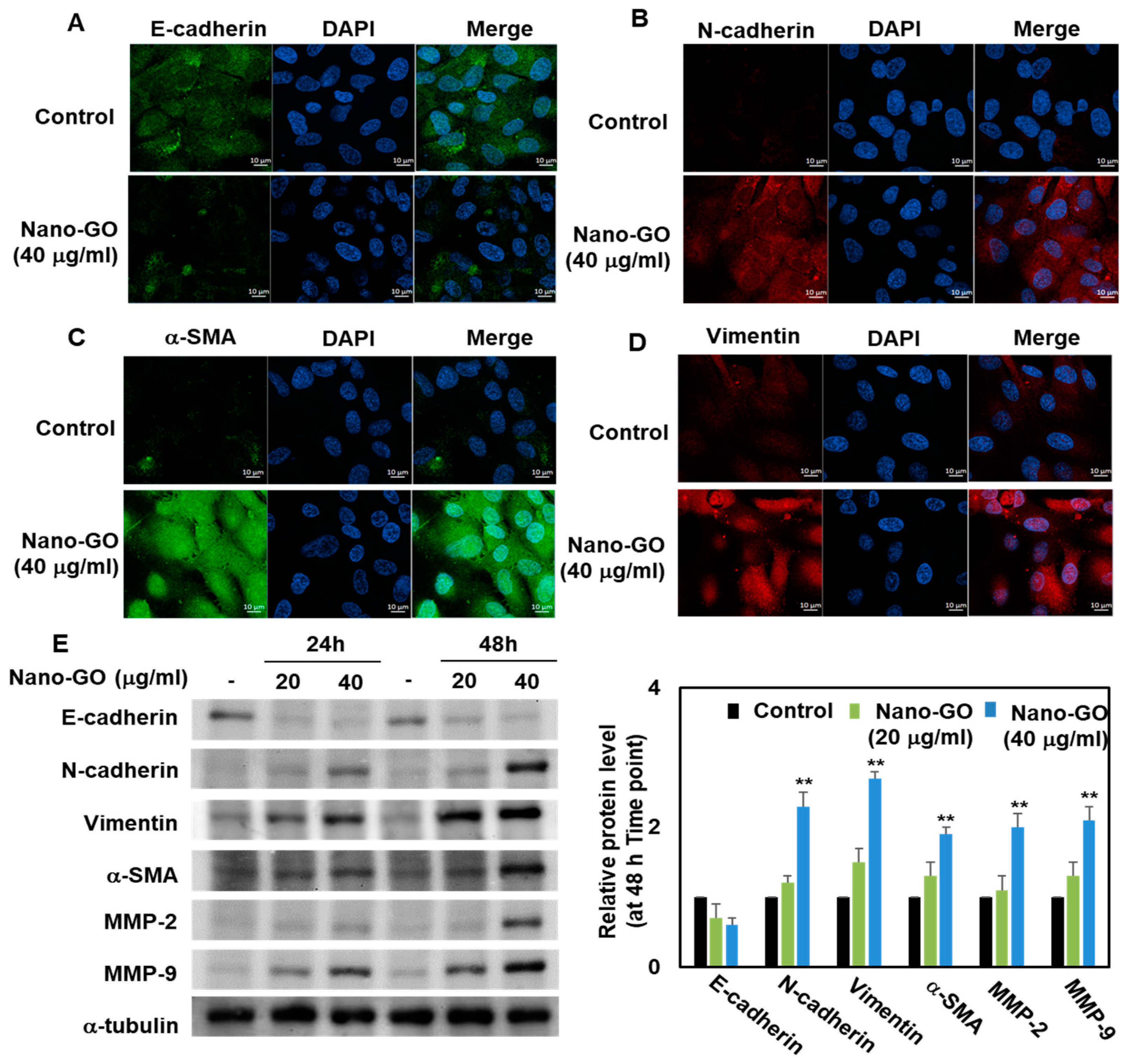 Nanomaterials 11 02546 g005