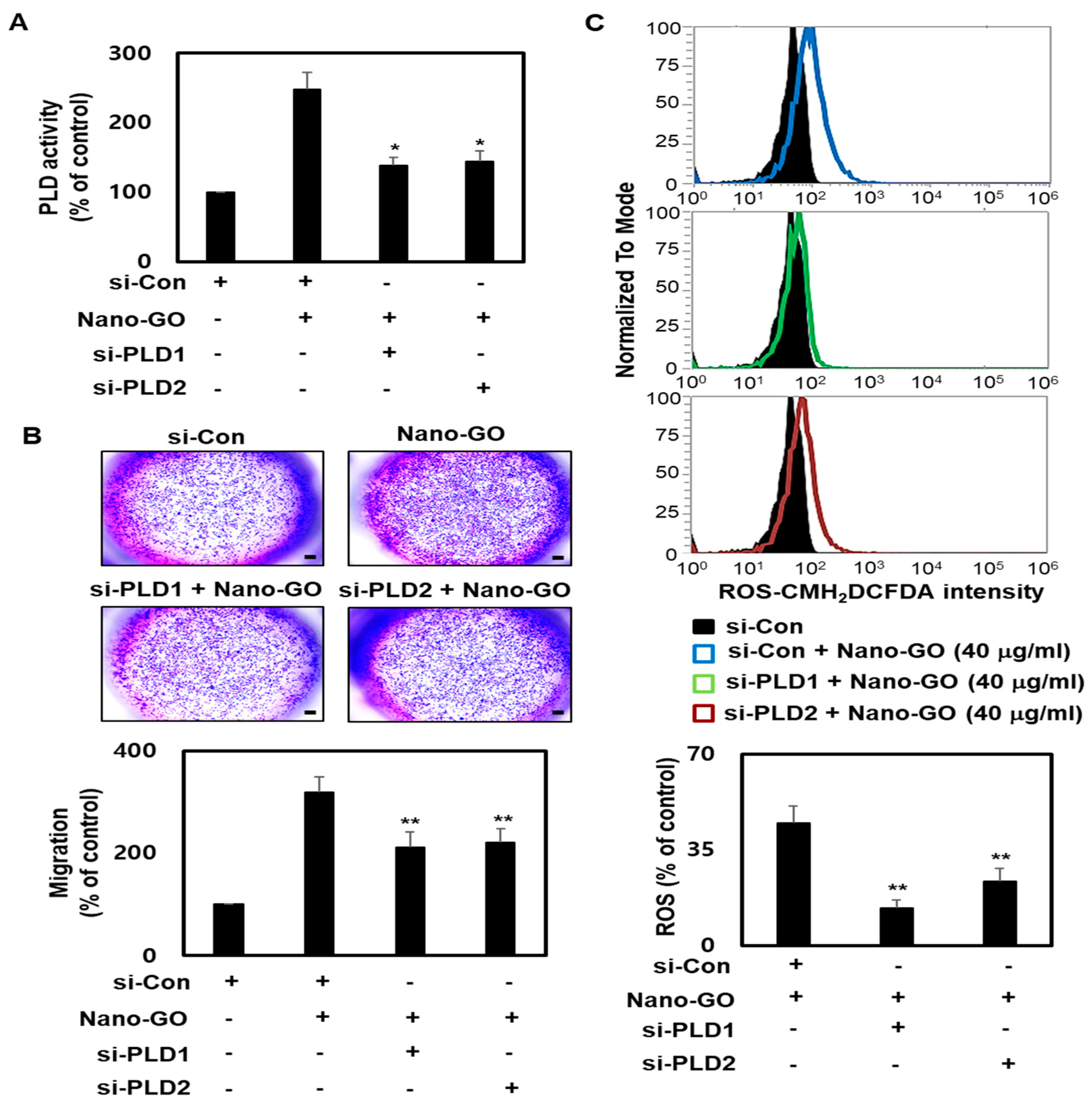 Nanomaterials 11 02546 g006