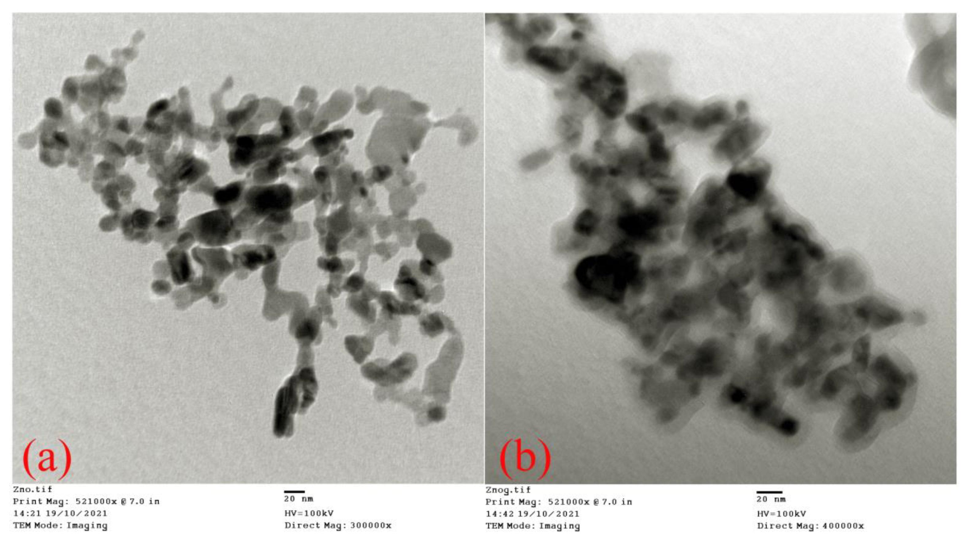 Nanomaterials 11 02548 g003