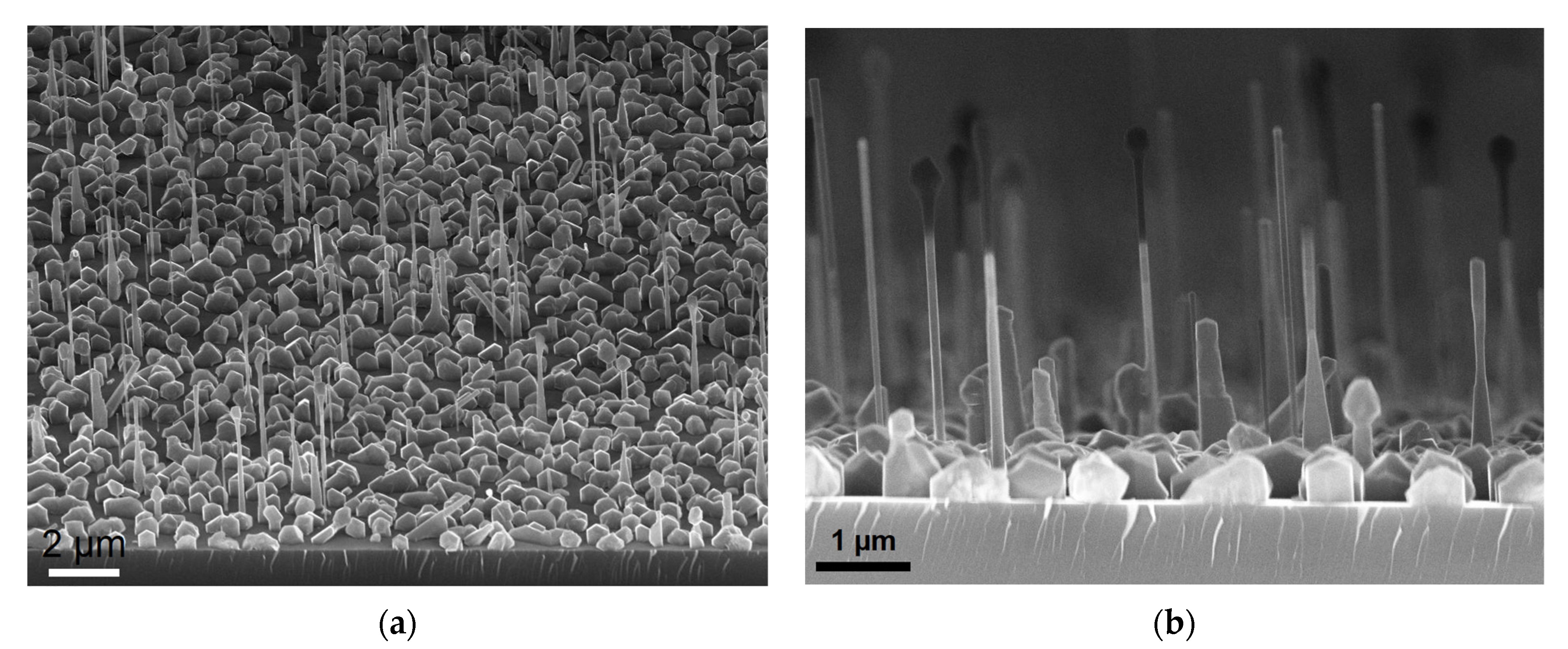Nanomaterials 11 02549 g002