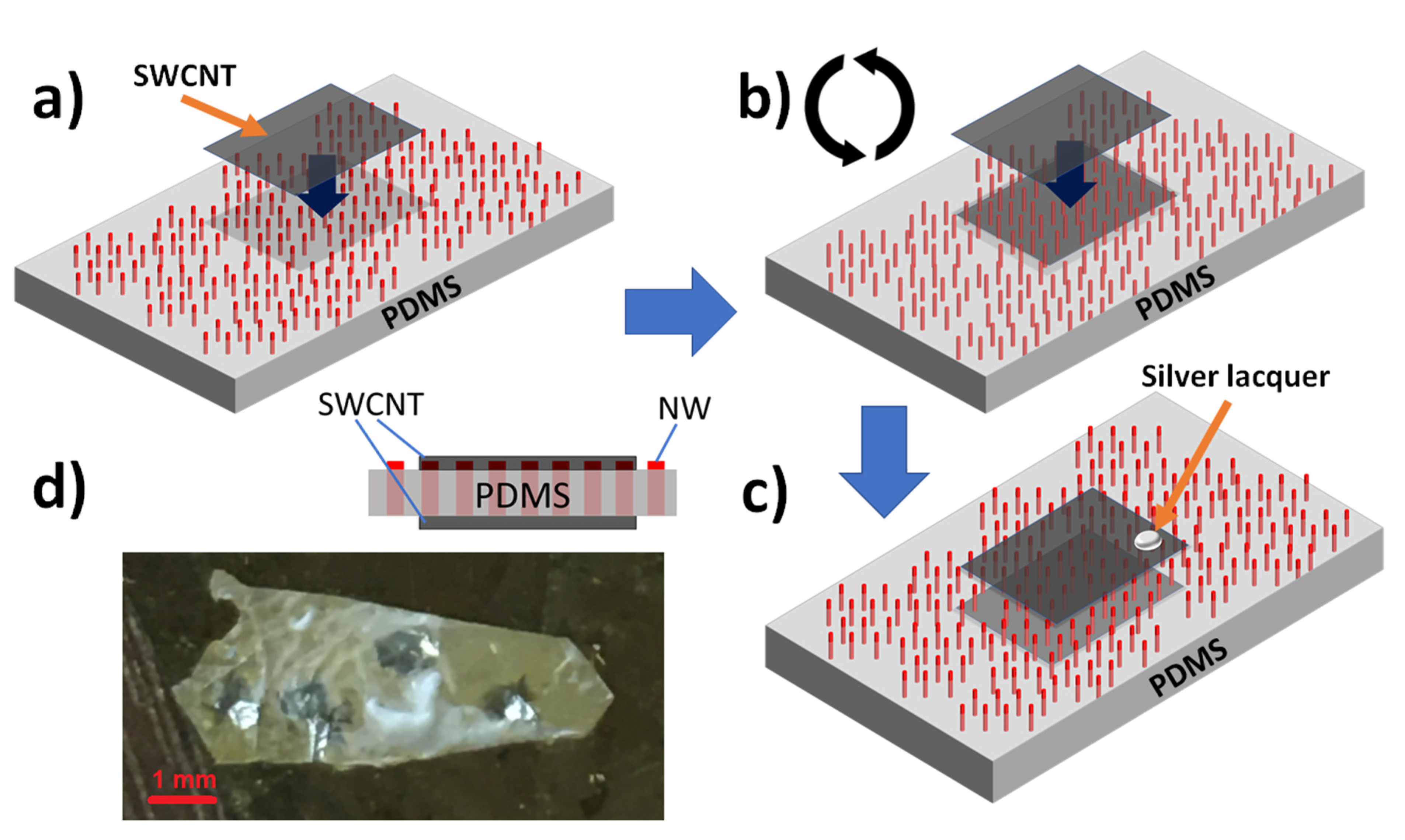 Nanomaterials 11 02549 g004
