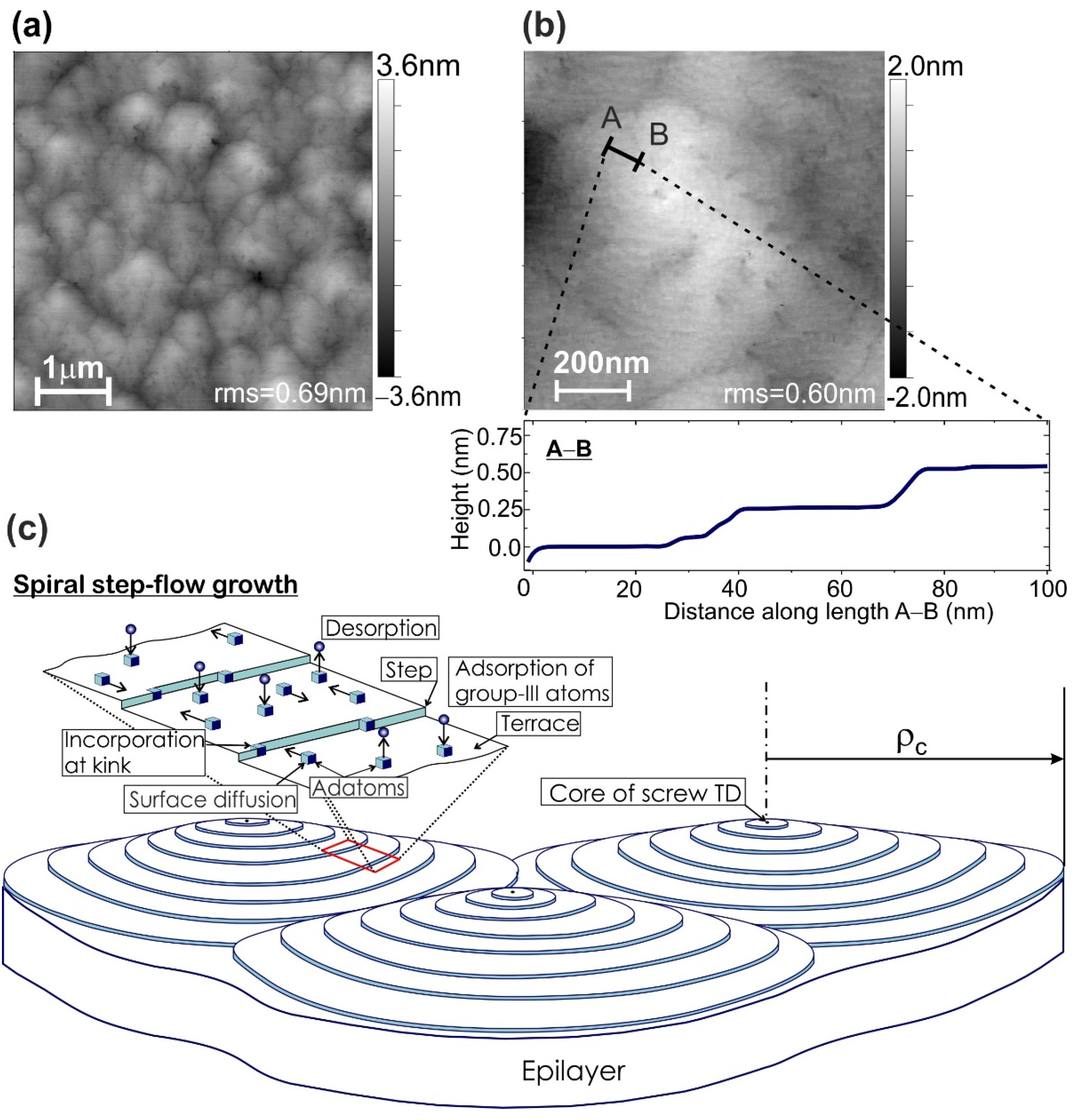 Nanomaterials 11 02553 g001
