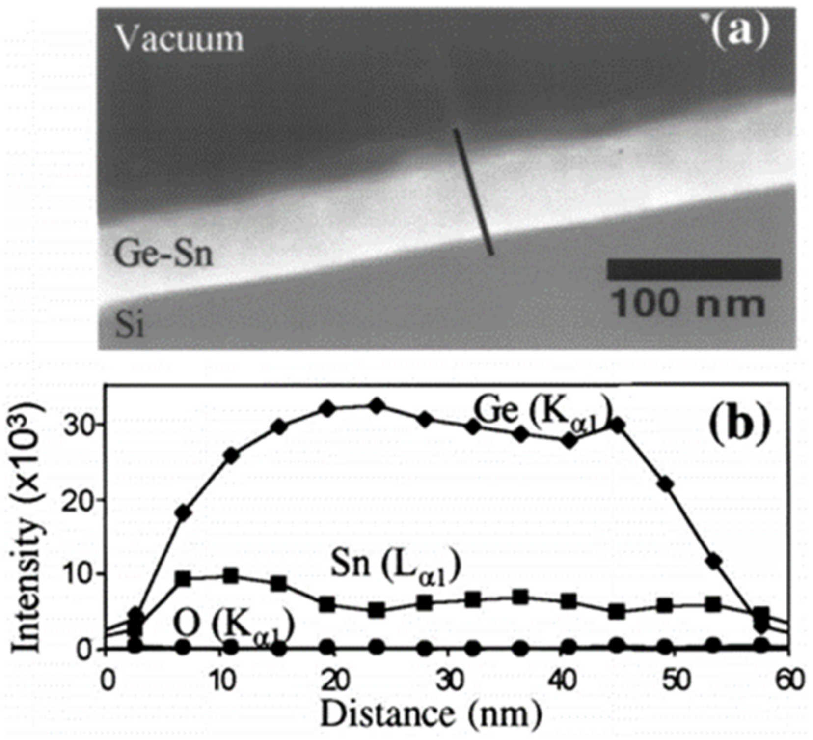 Nanomaterials 11 02556 g003 Nanomaterials 11 02556 g003