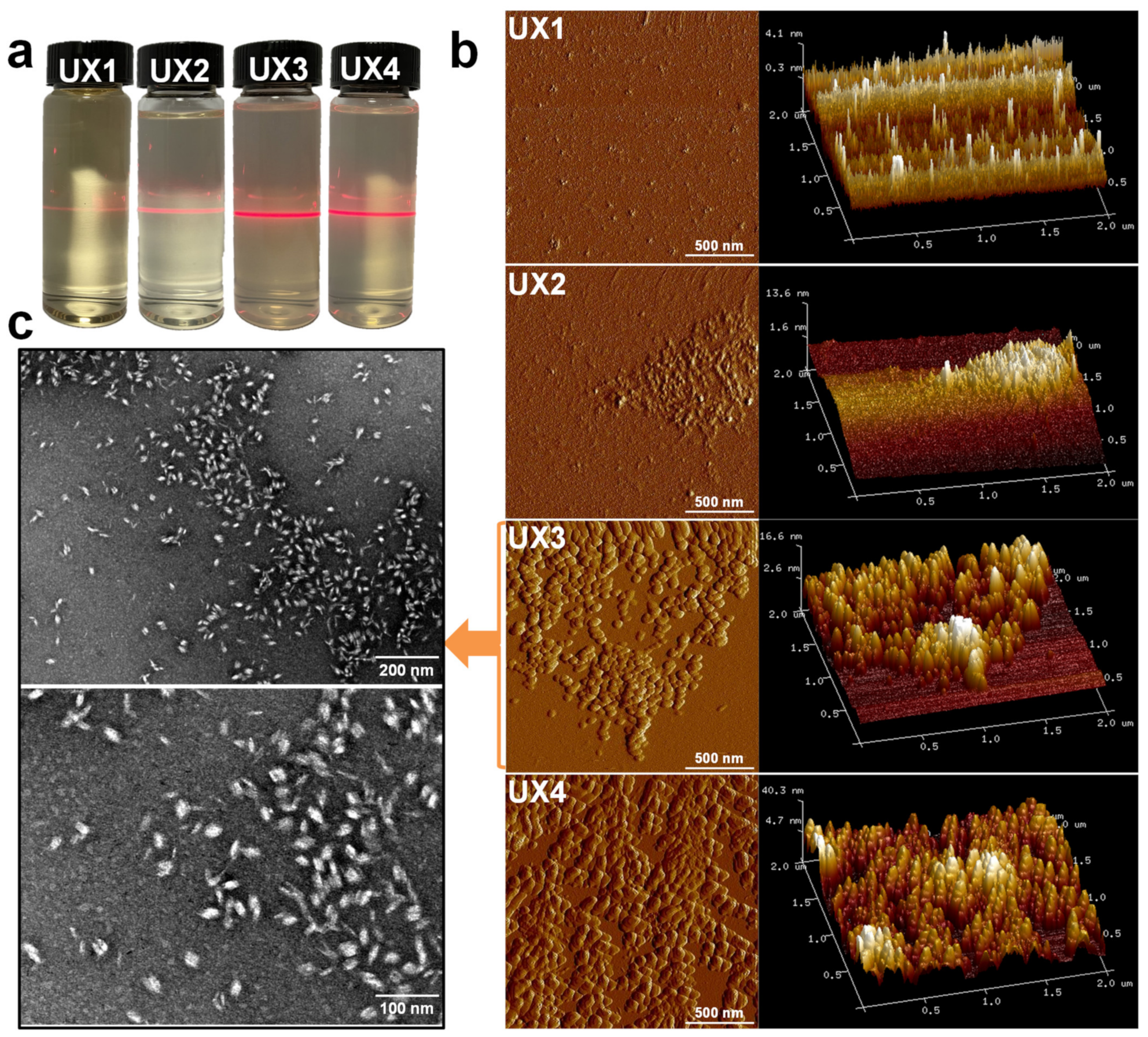 Nanomaterials 11 02558 g002