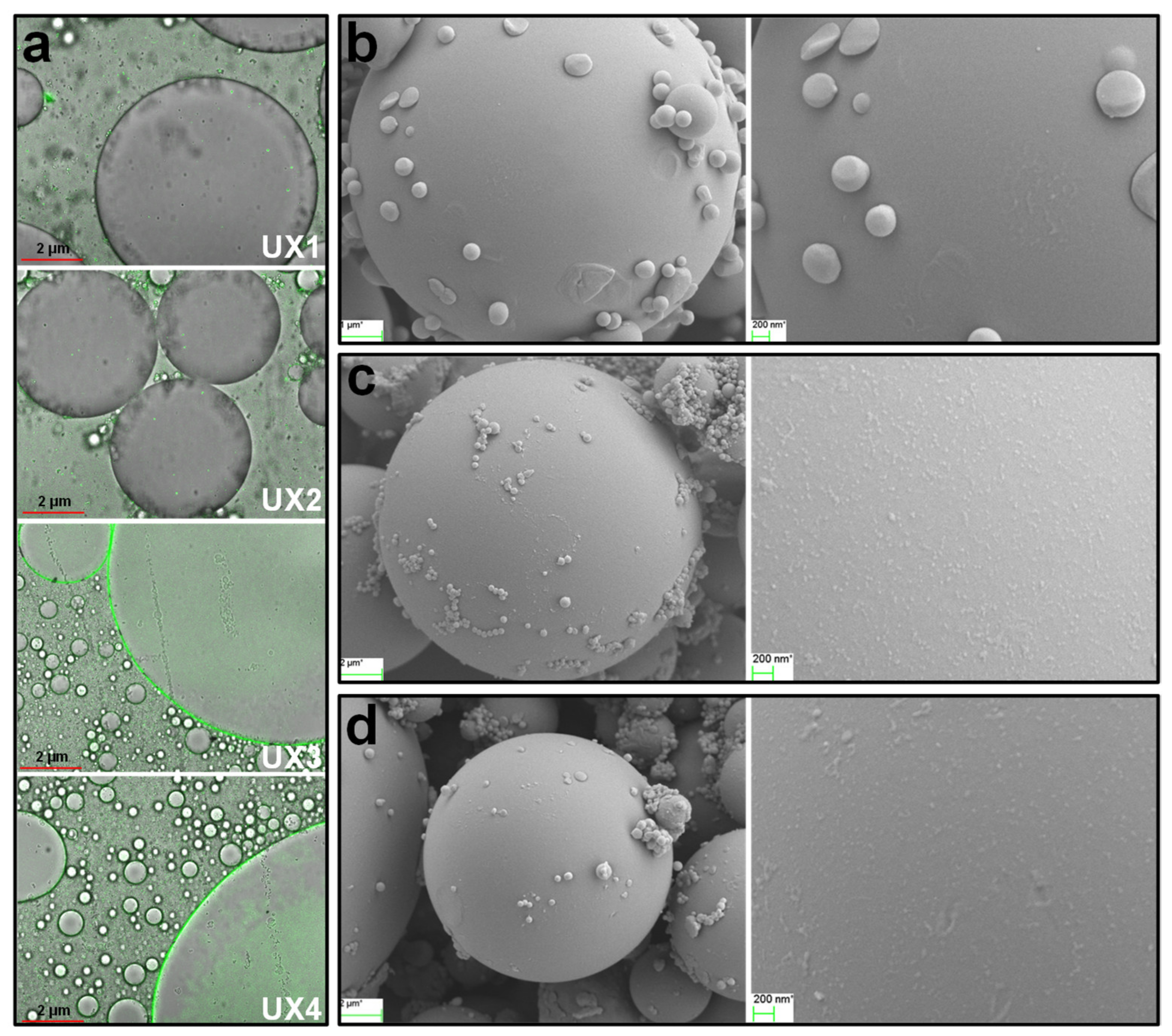 Nanomaterials 11 02558 g007